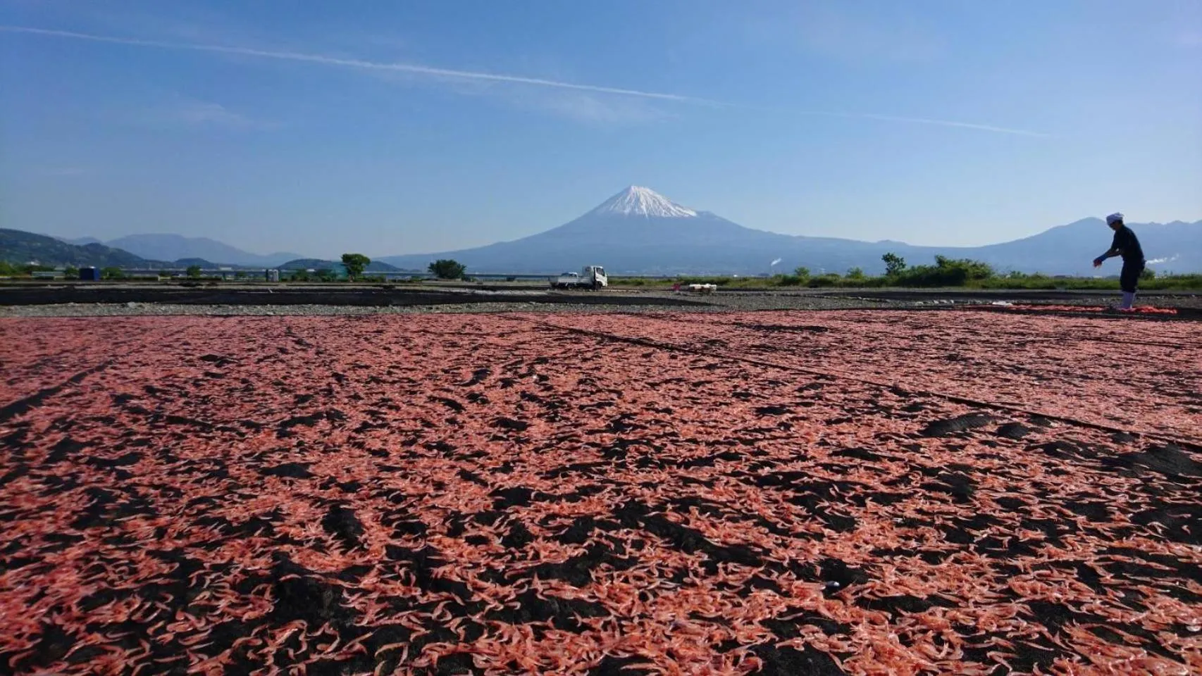 Nearby landmark in Backpackers Hostel TSUBAMENOYADO