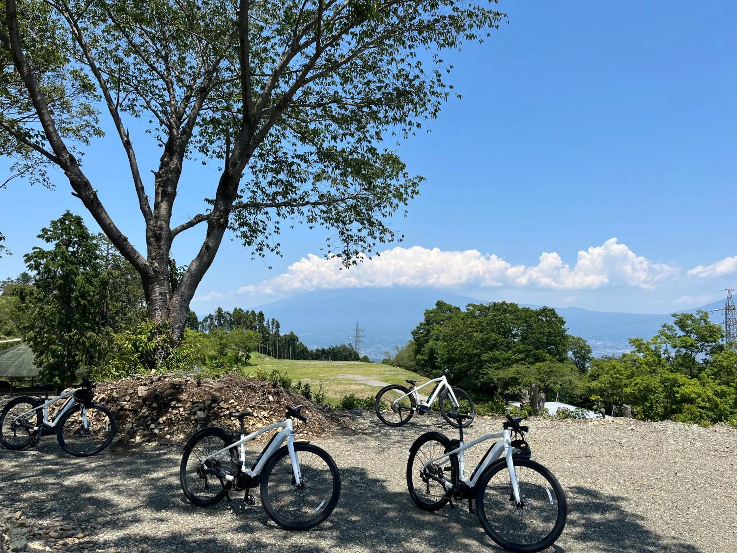 Nearby landmark in Backpackers Hostel TSUBAMENOYADO