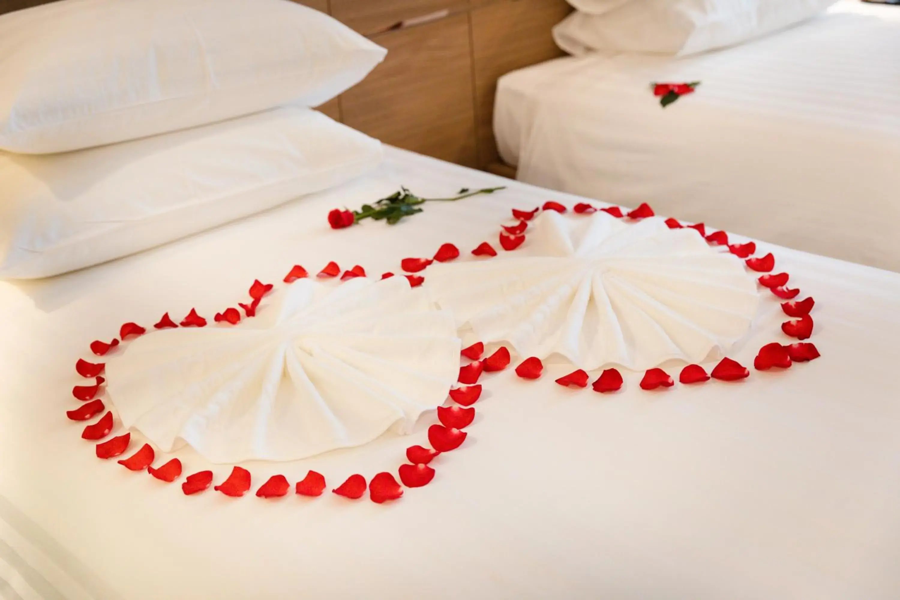 Standard Single Room - single occupancy in Virgo Hotel Nha Trang Standard Single Room - single occupancy in Virgo Hotel Nha Trang