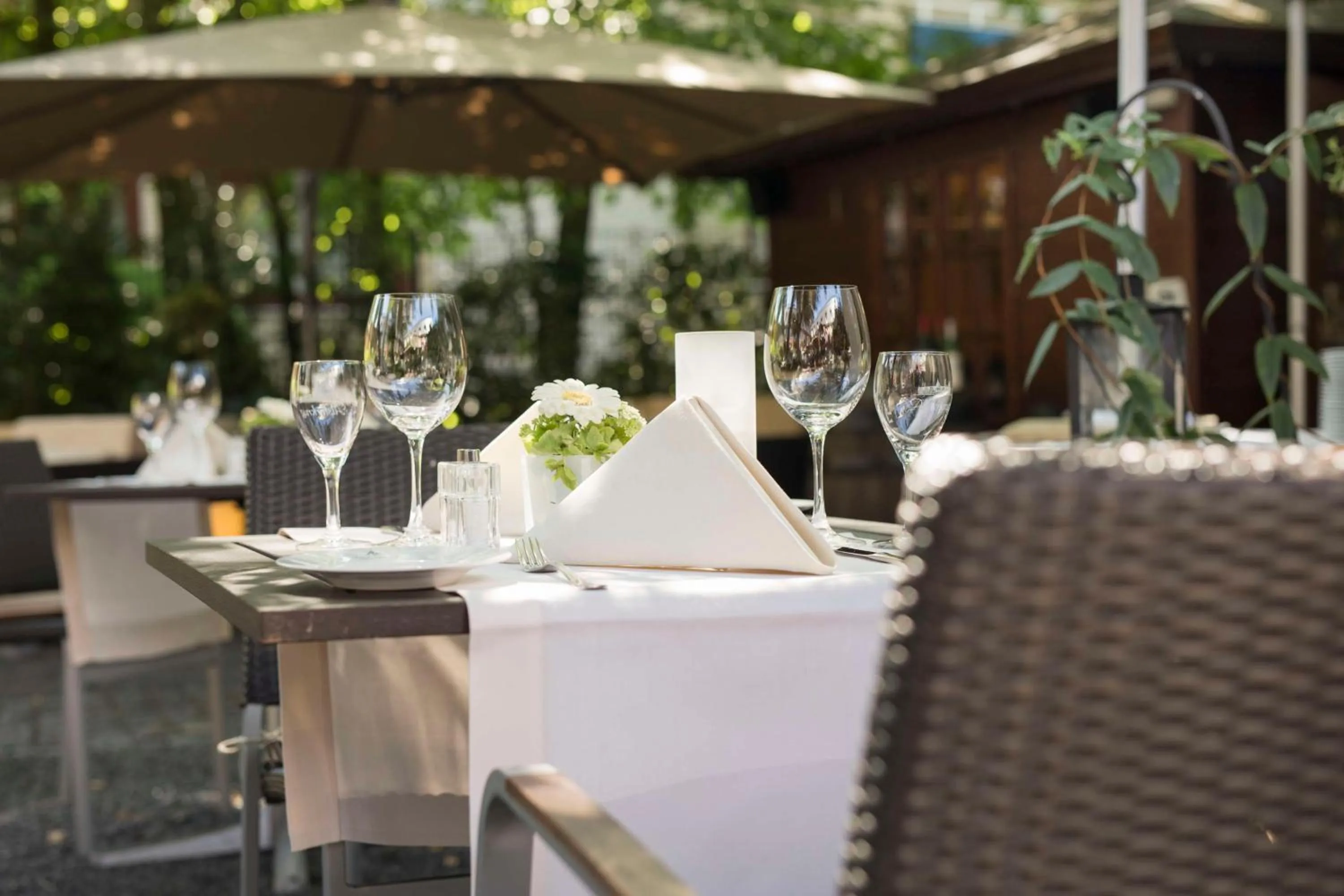 Food and drinks in Best Western Premier Alsterkrug Hotel