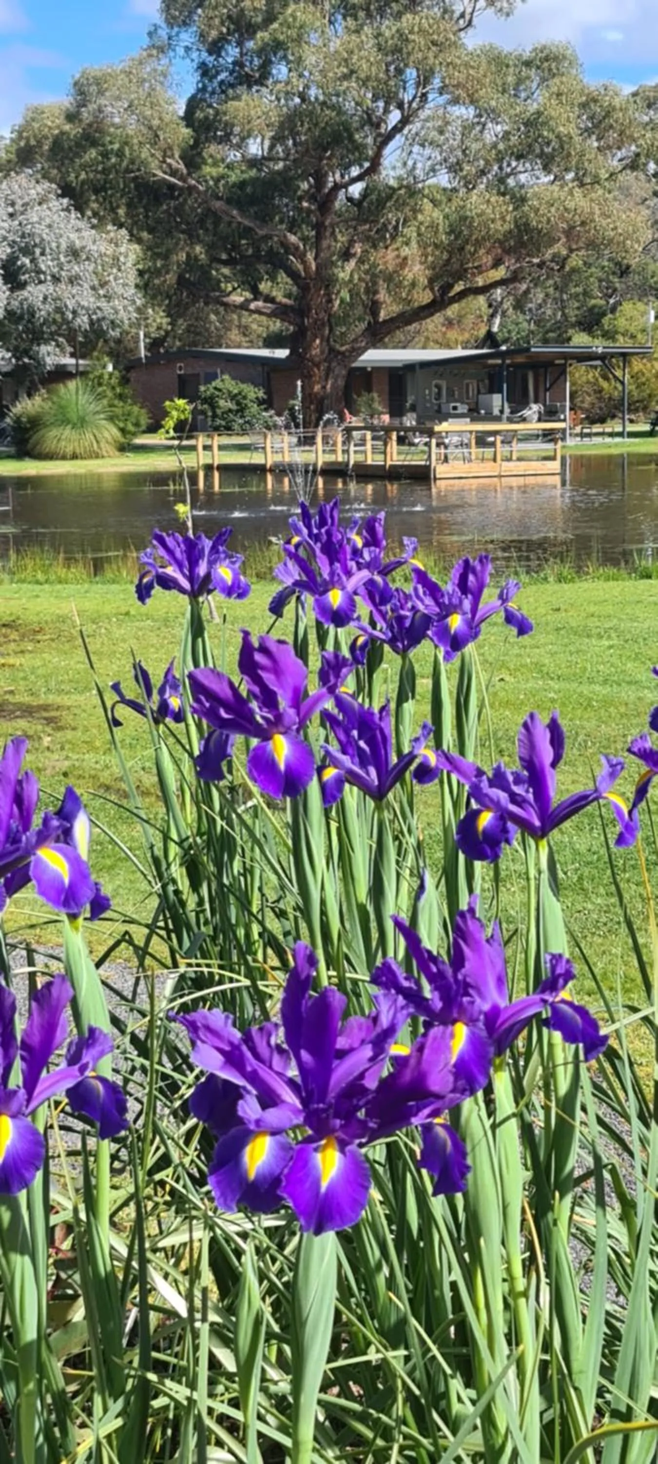 Garden in Halls Haven Holiday Units