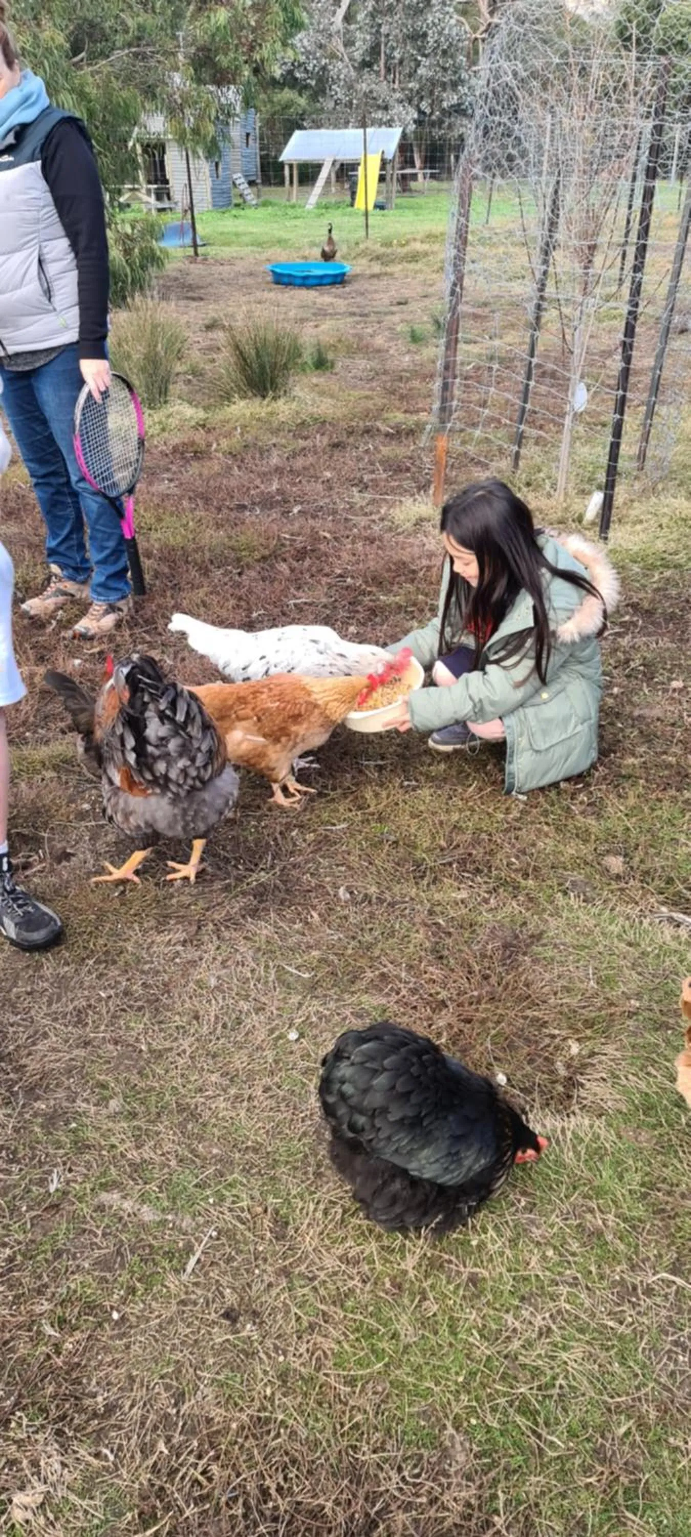 Animals in Halls Haven Holiday Units