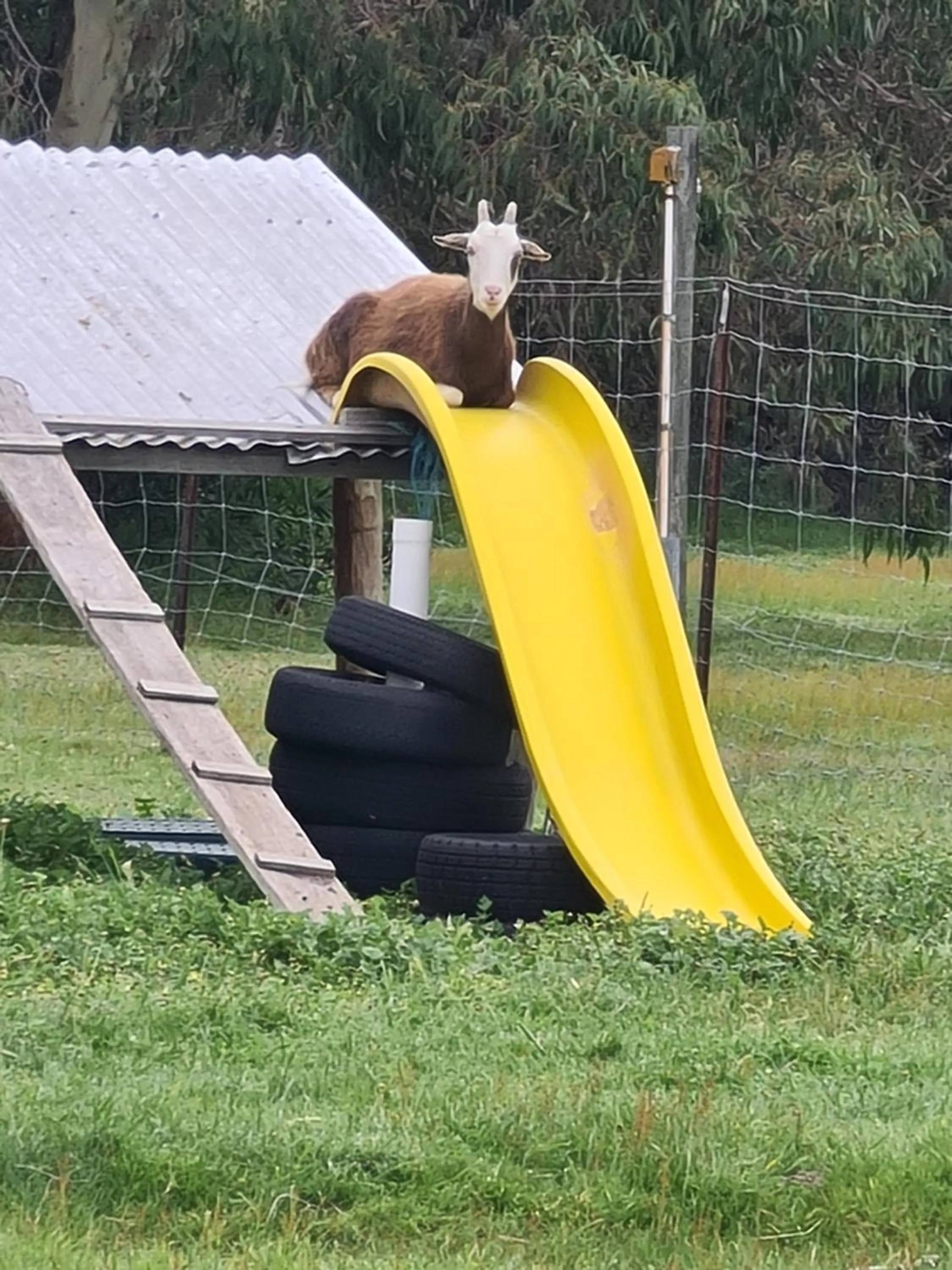 Children play ground in Halls Haven Holiday Units
