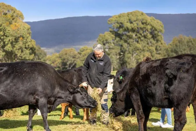 View (from property/room) in Halls Haven Holiday Units