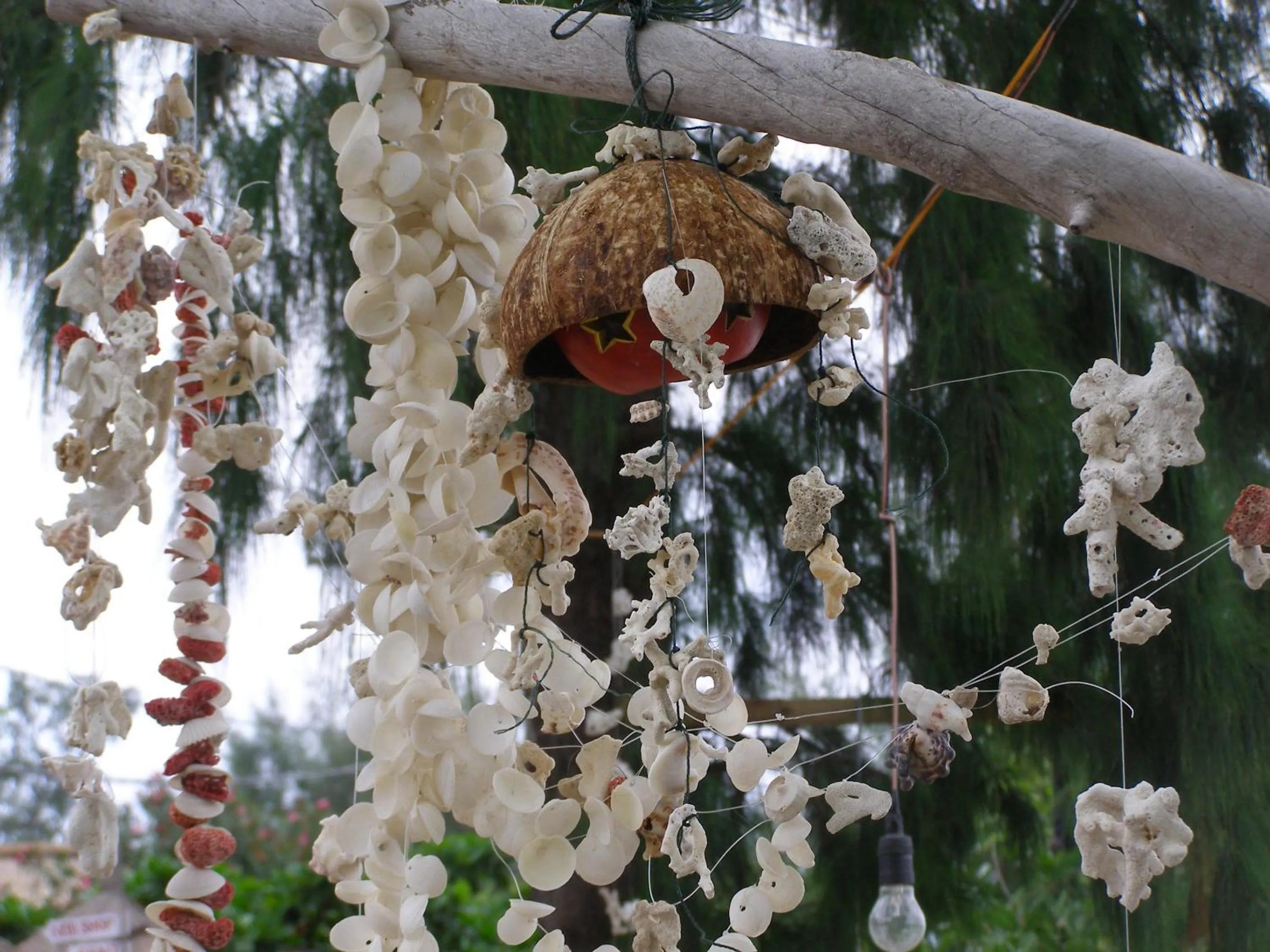 Other in Star Bar and Bungalows