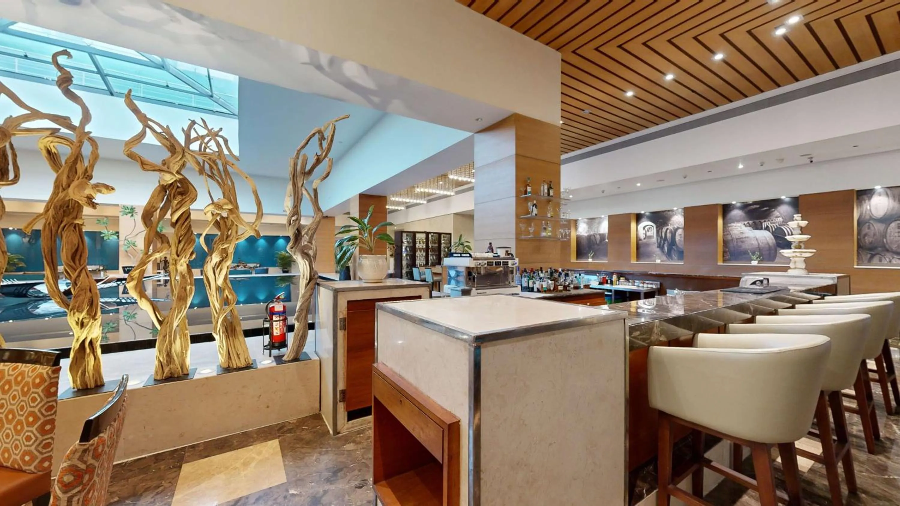 Lounge or bar in Radisson Blu Hotel Ranchi