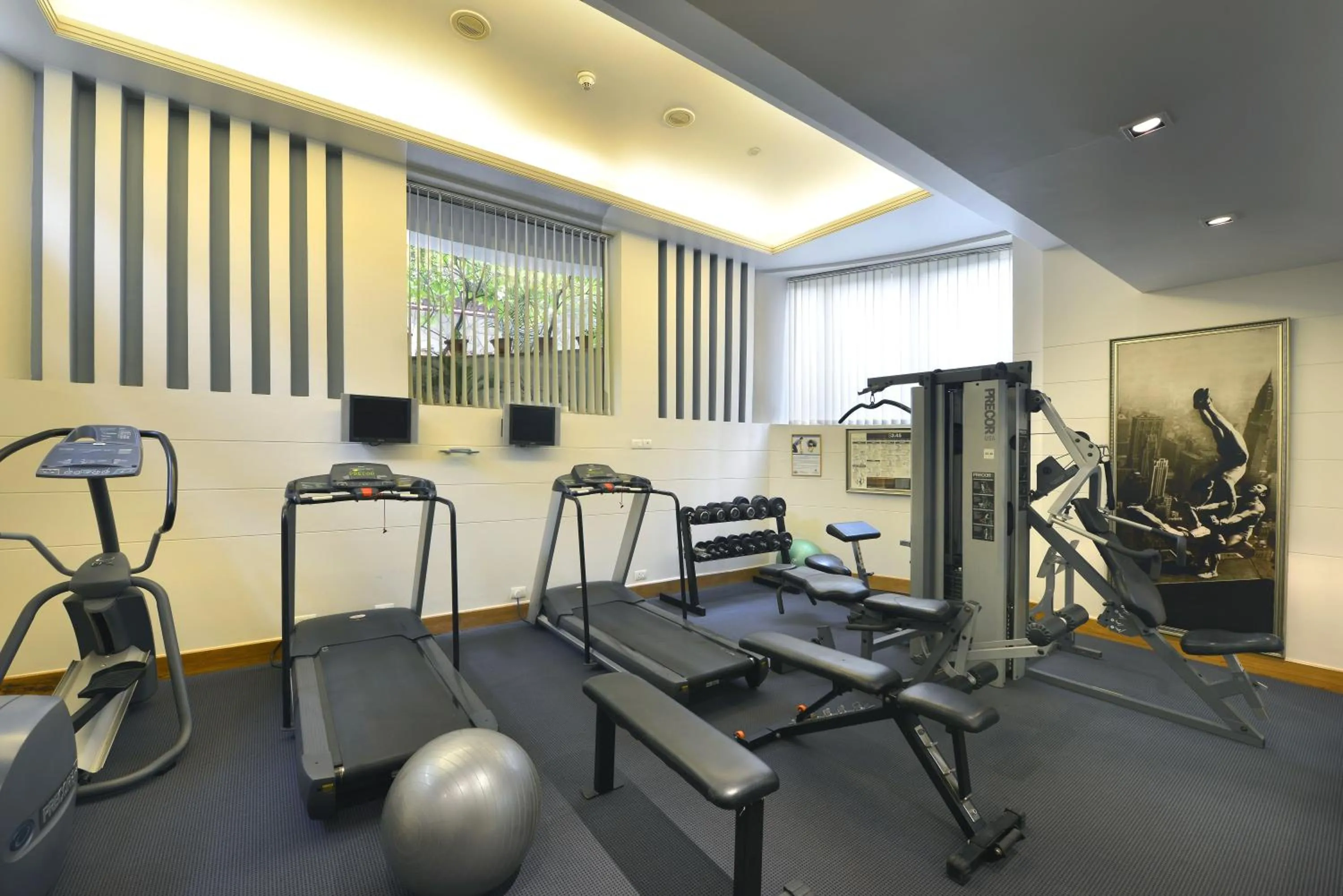 Fitness centre/facilities in Park Plaza Gurgaon