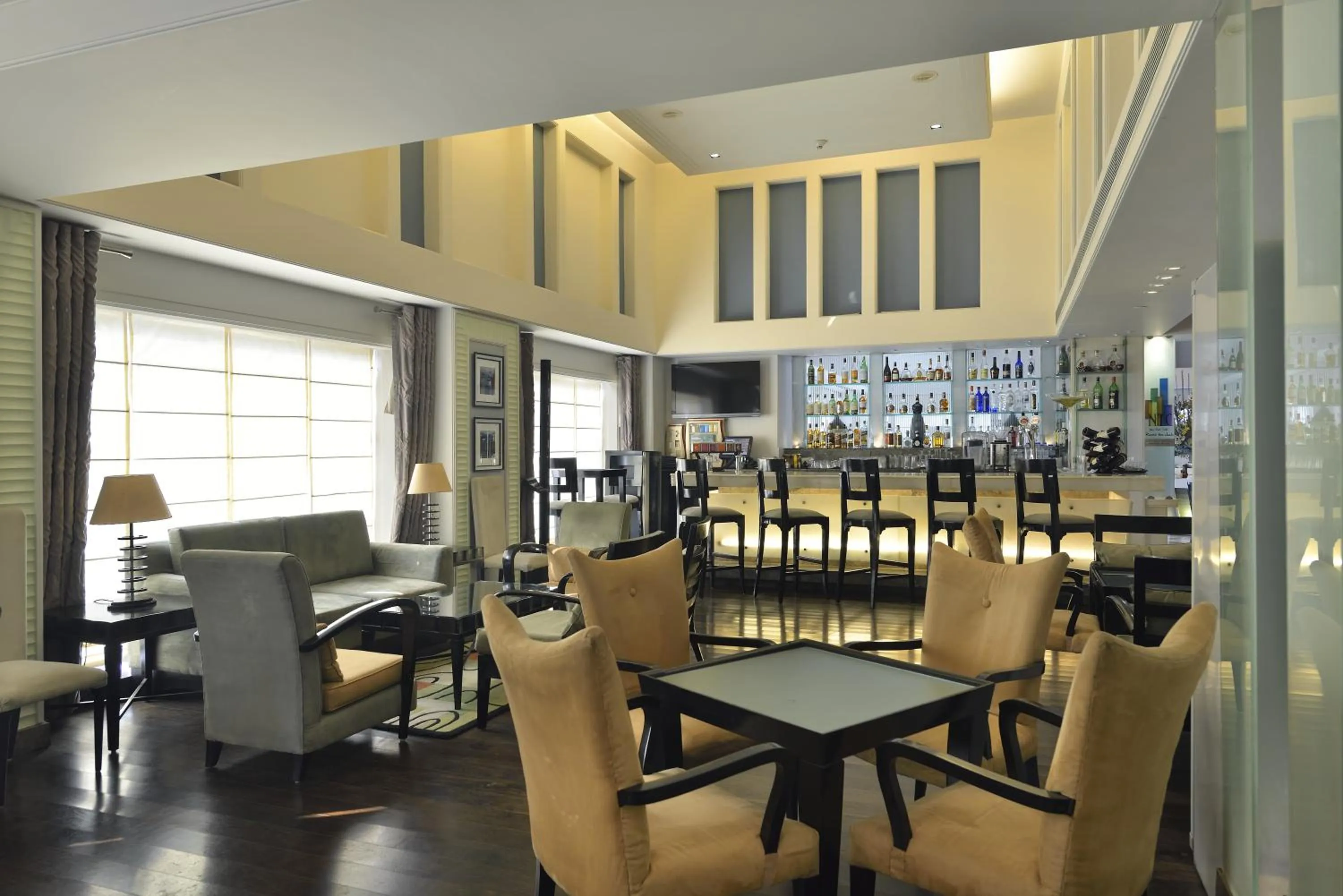Lounge or bar in Park Plaza Gurgaon