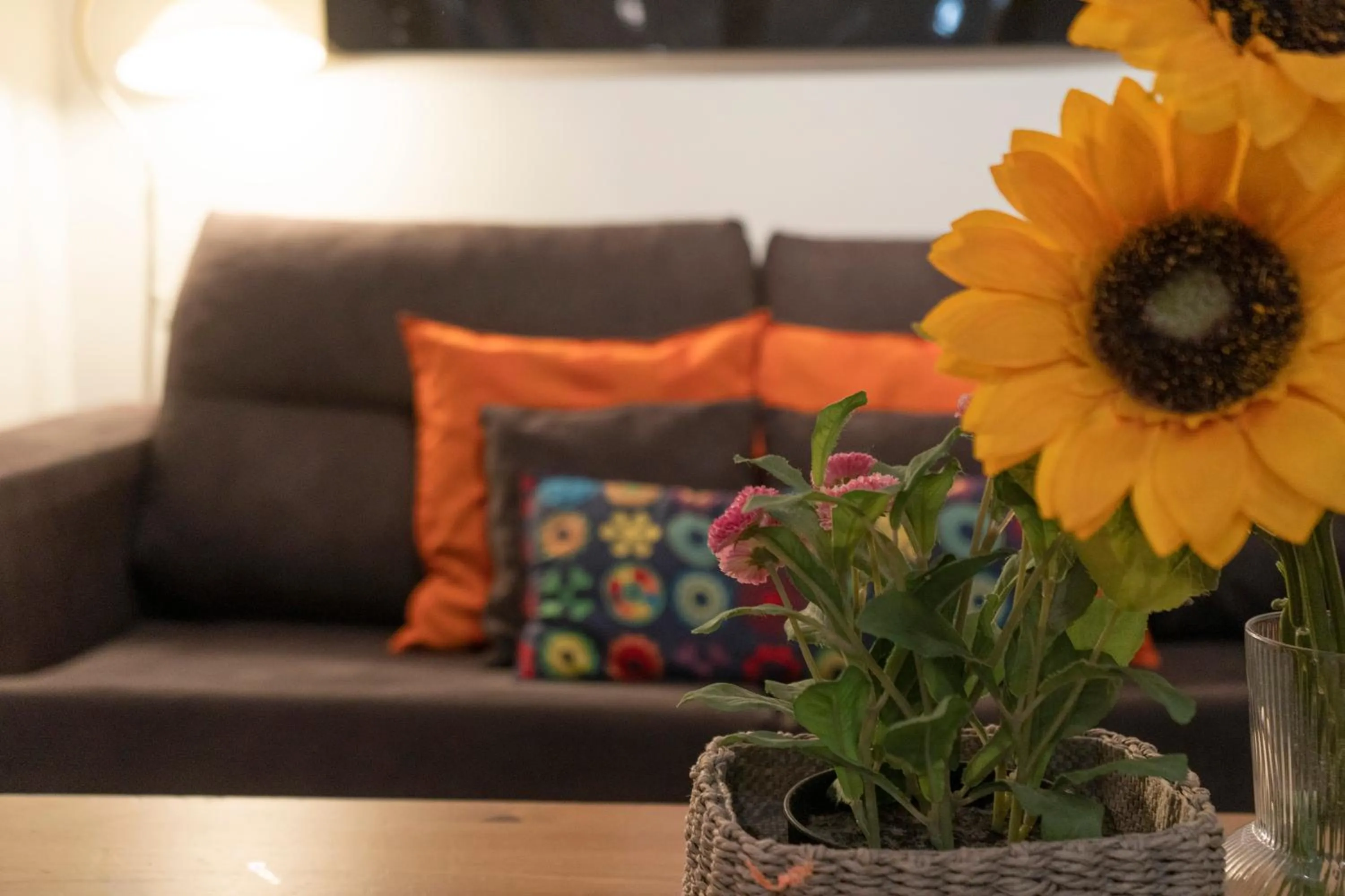 Gran Via Alaia Seasonal Living