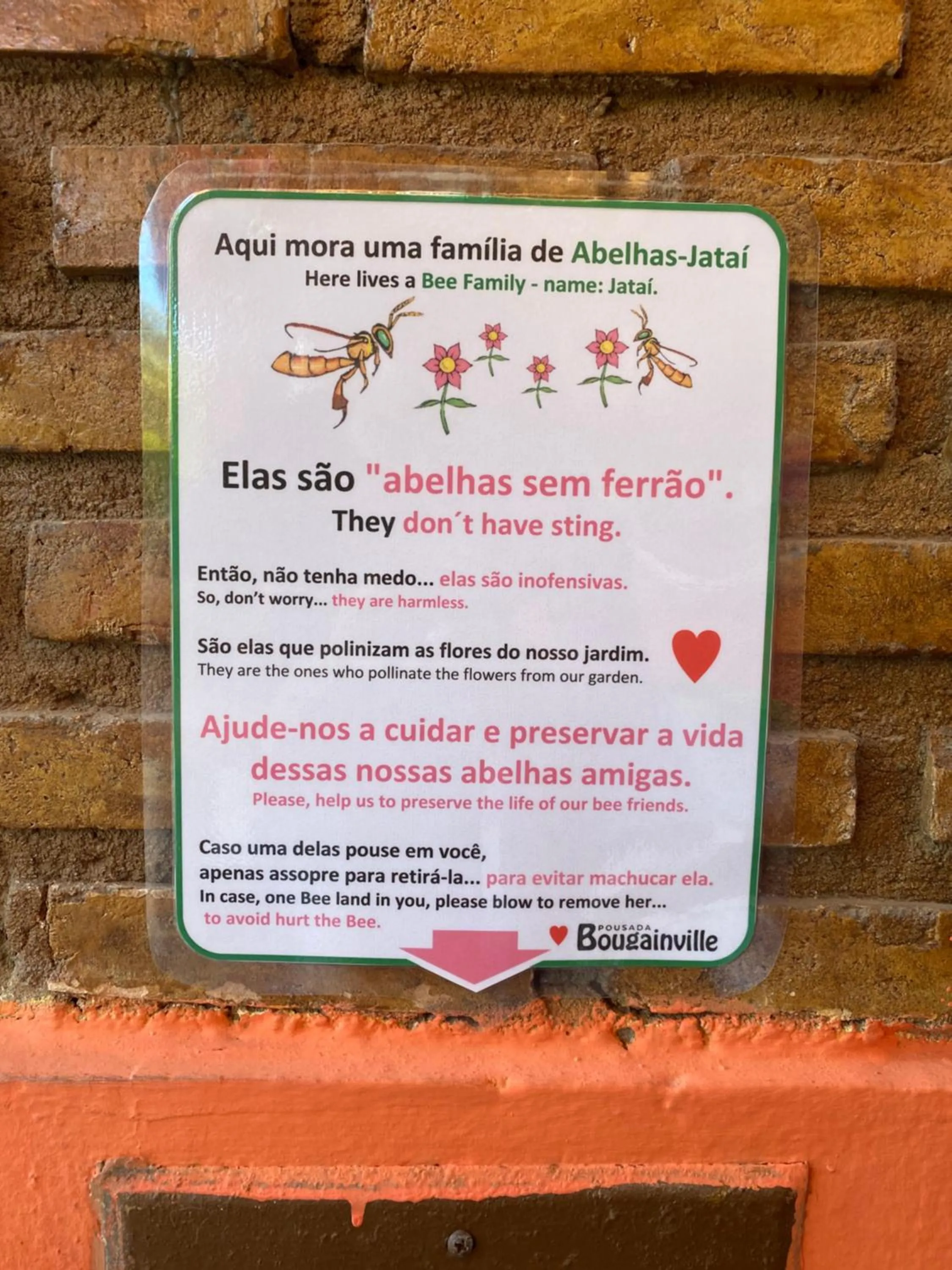 Natural landscape in EcoVila-Zen Bougainville - Hotel Pousada