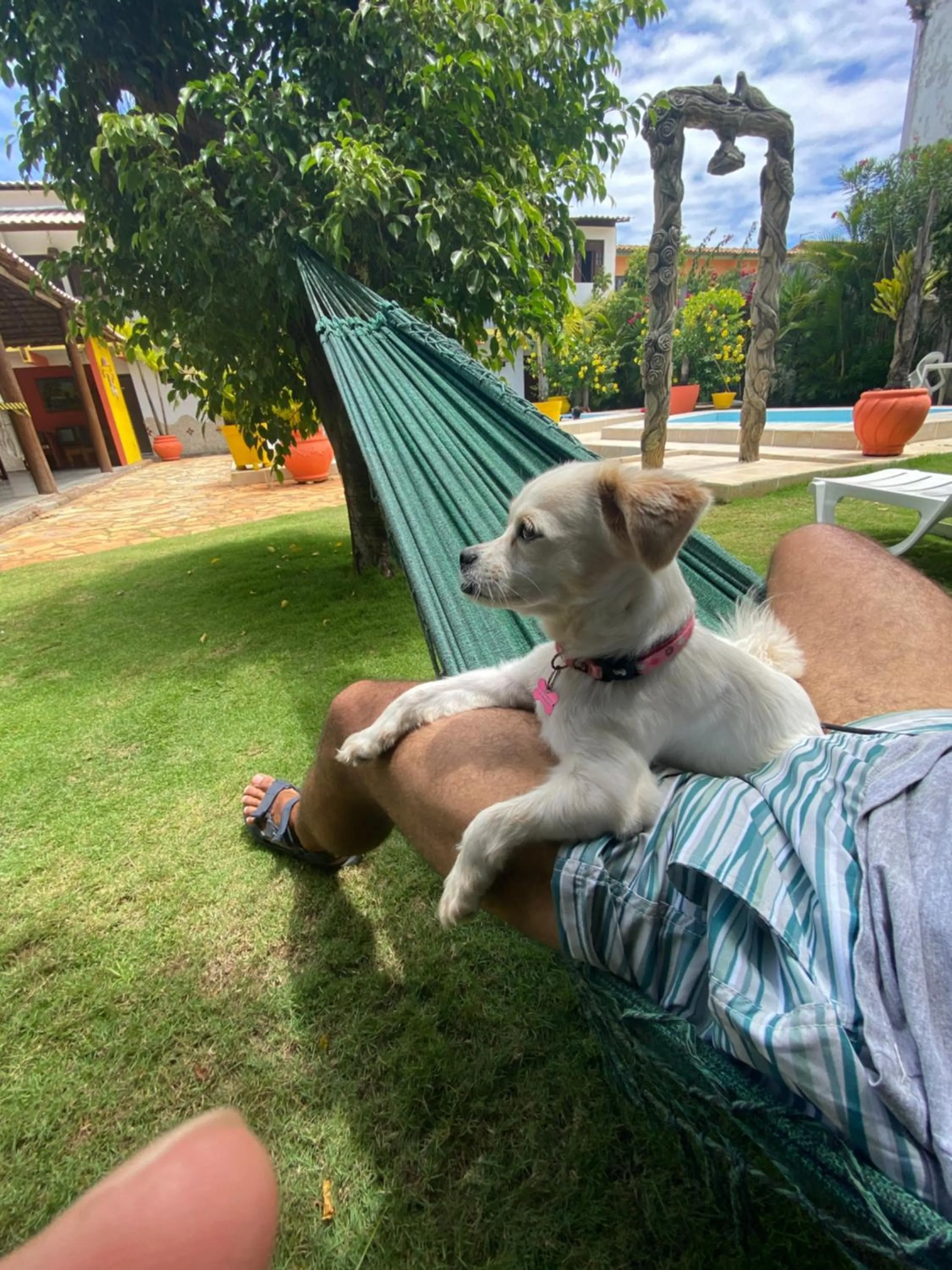 Pets in EcoVila-Zen Bougainville - Hotel Pousada