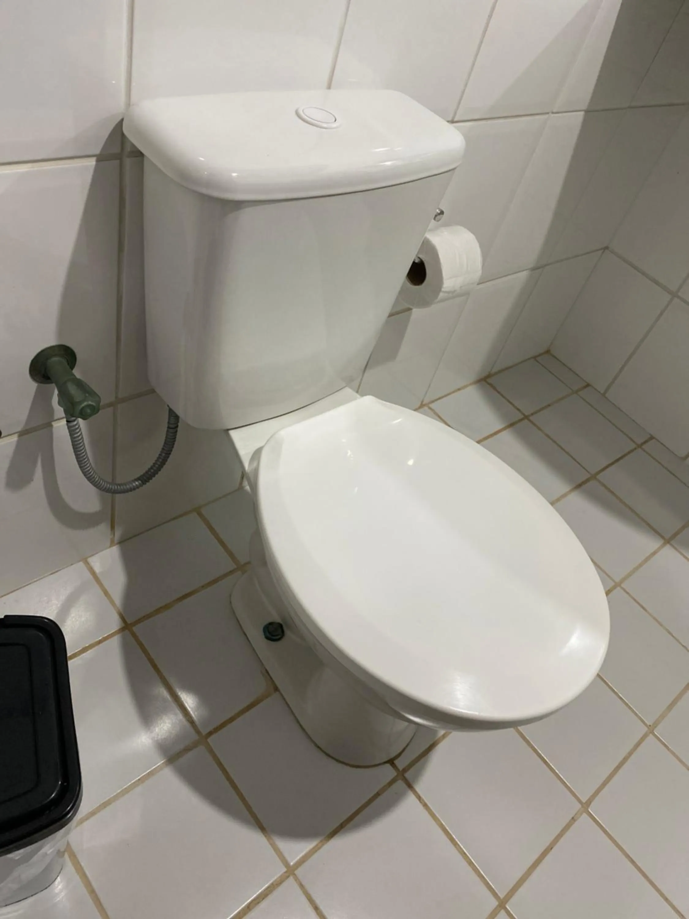 Toilet in EcoVila-Zen Bougainville - Hotel Pousada