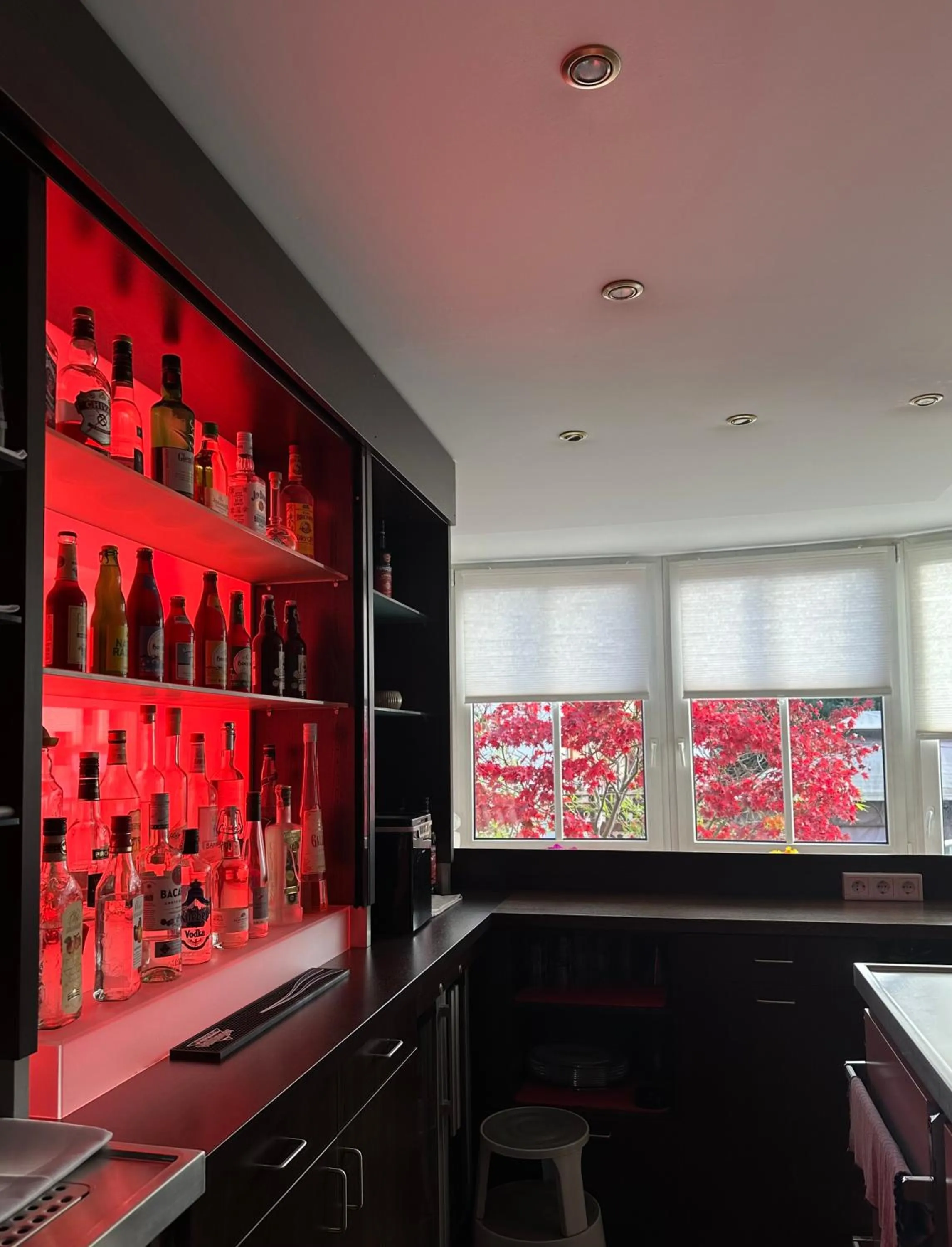 Lounge or bar in Astralis Hotel Domizil