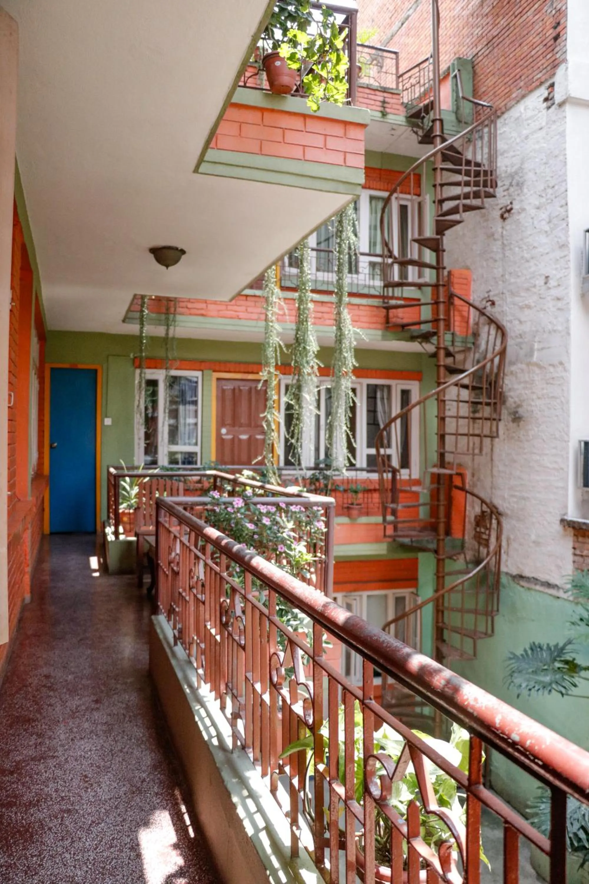 hotel Backpackers inn