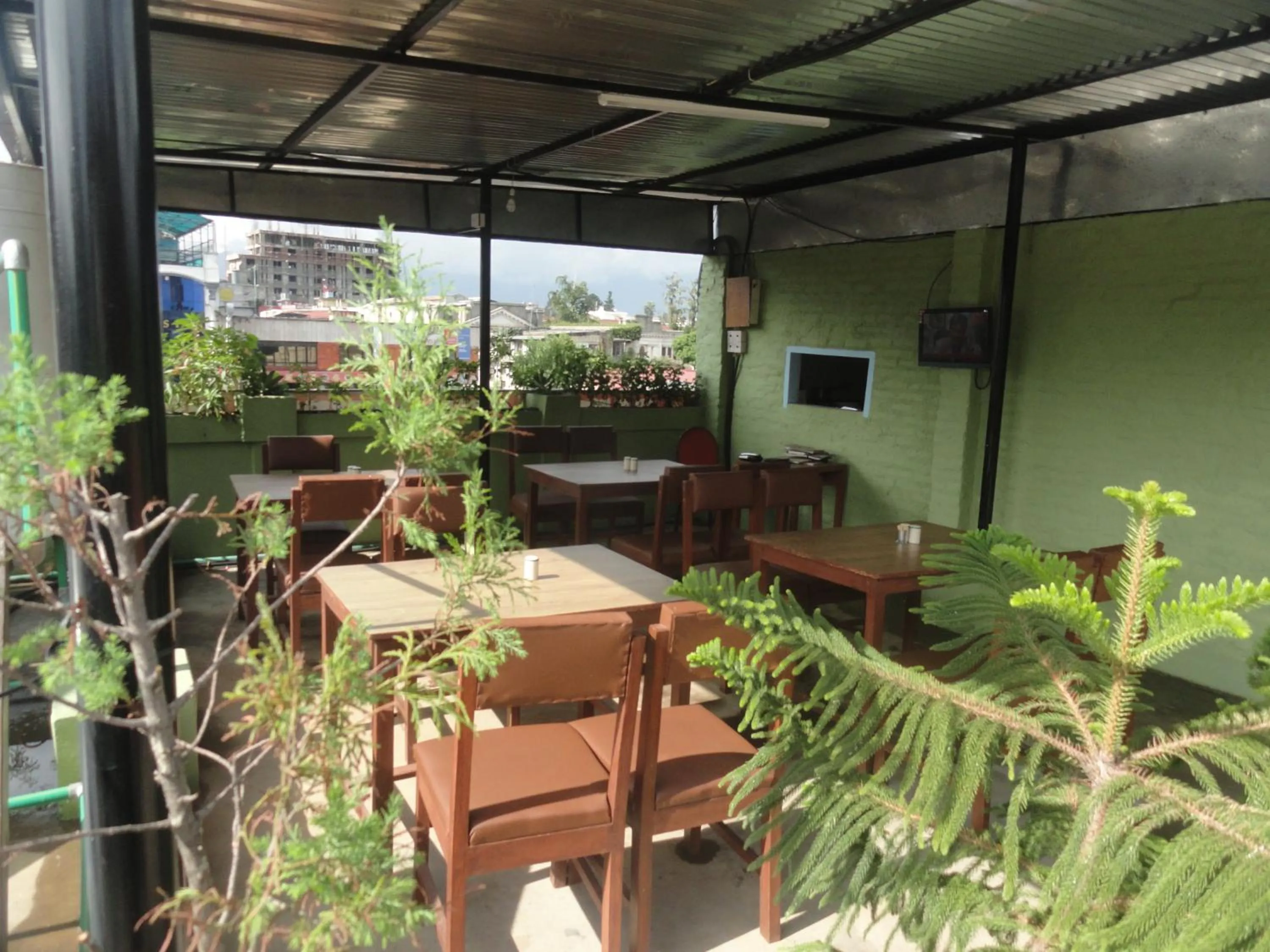 Garden in hotel Backpackers inn