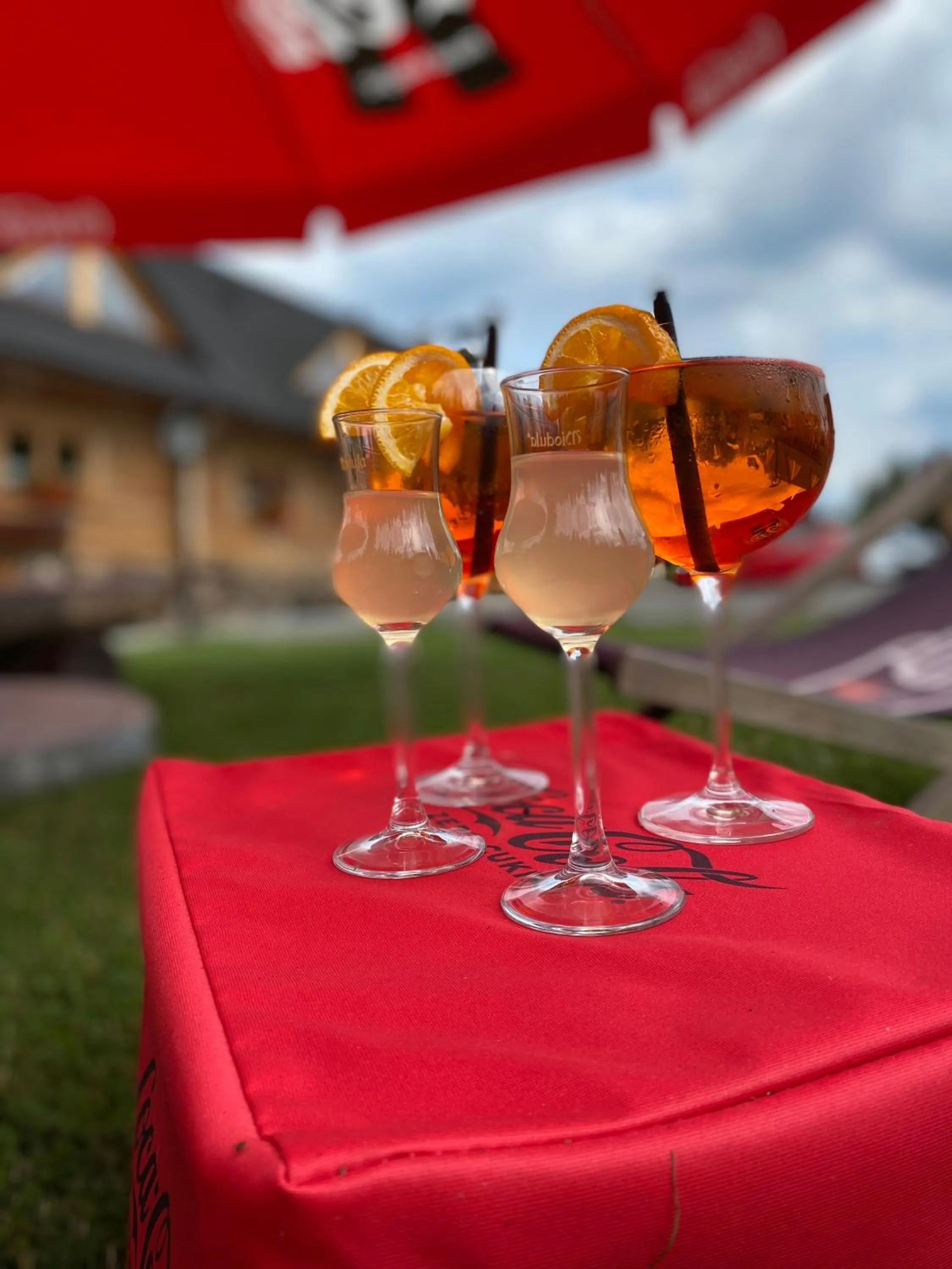 Drinks in Olza Karczma i pokoje