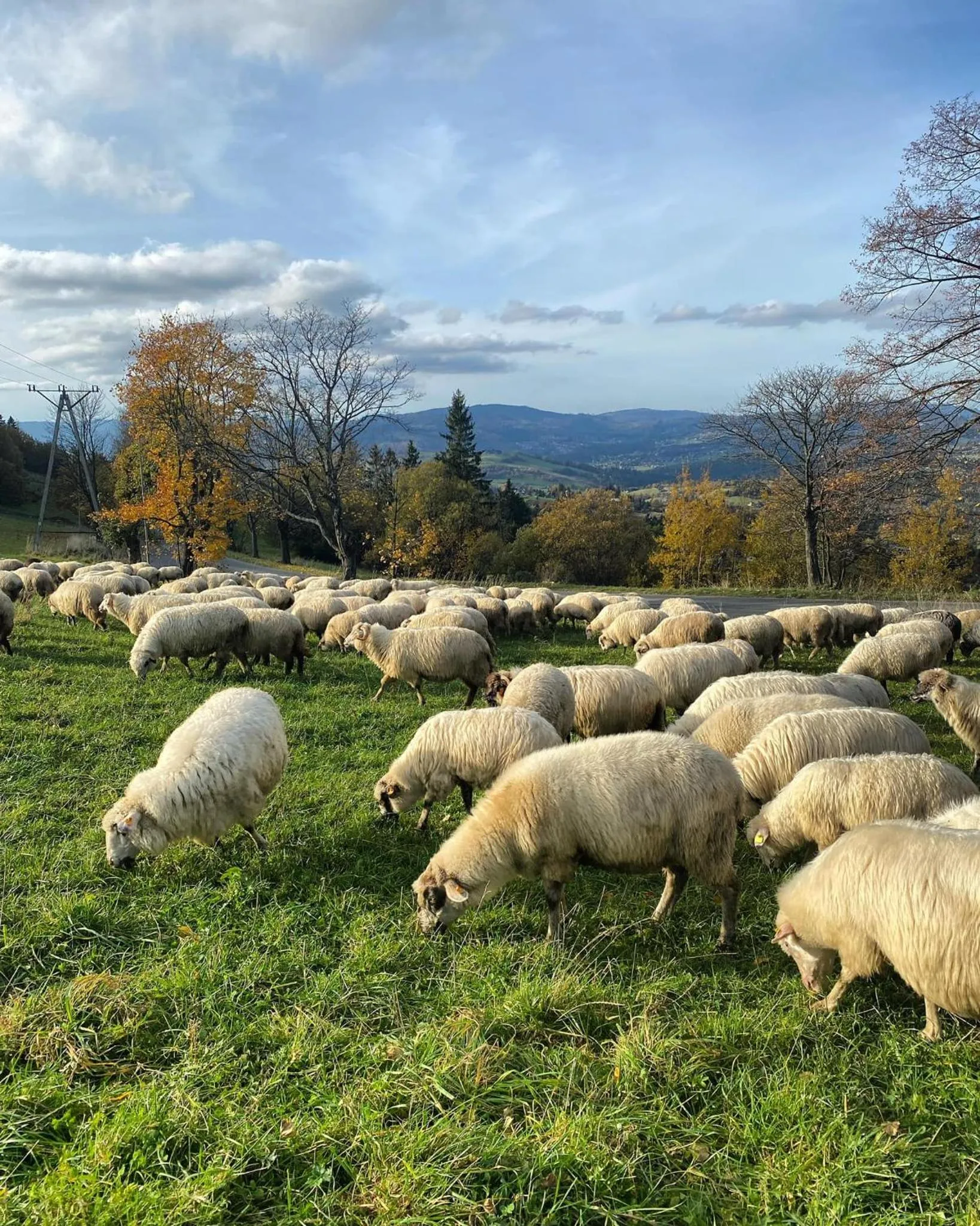 Spring in Olza Karczma i pokoje