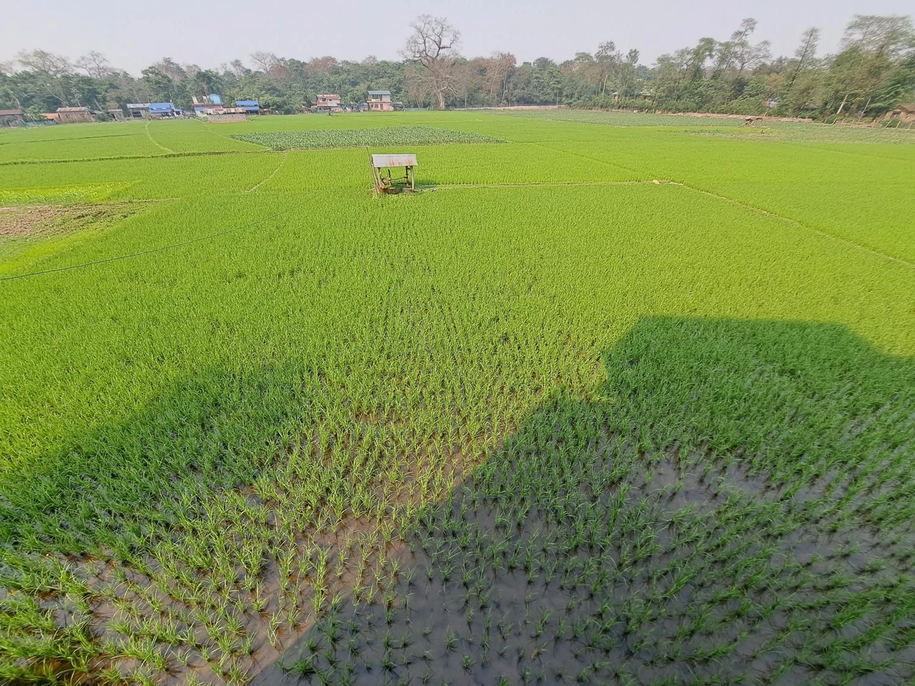 Landmark view in Hong Qi Hotel