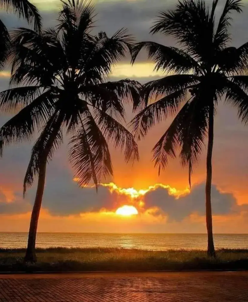 Flat Oka beach residence luxo Flat Oka beach residence luxo