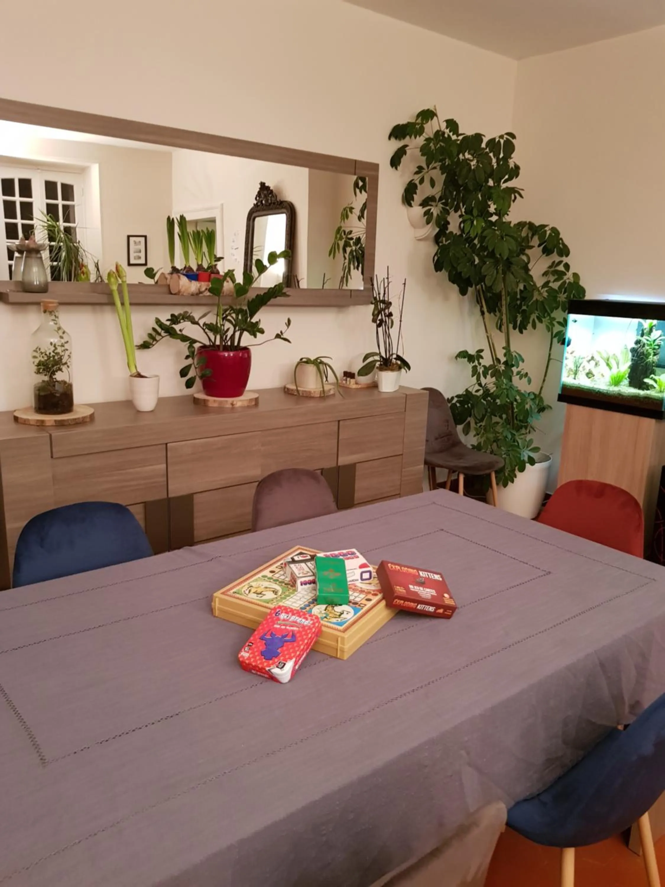 Game Room in L'havre de Saint Germain