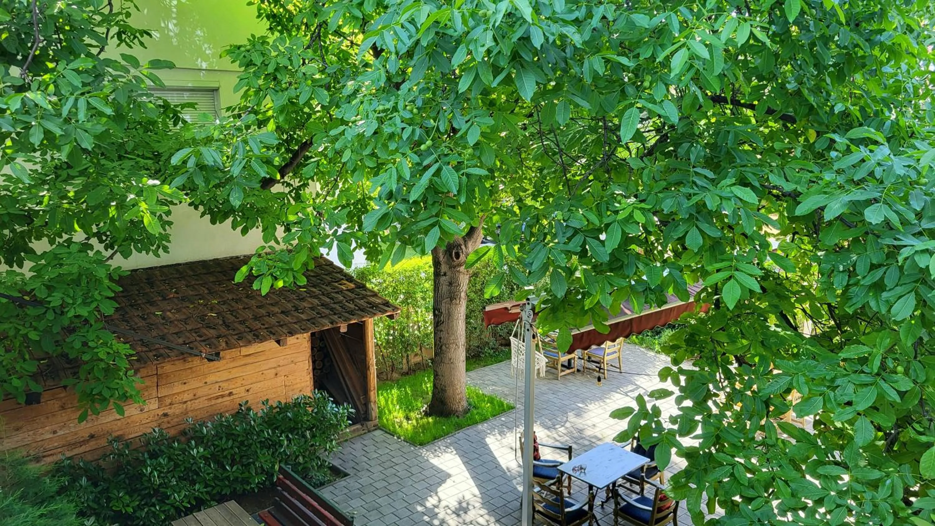 Garden in Grand Boutique Hotel