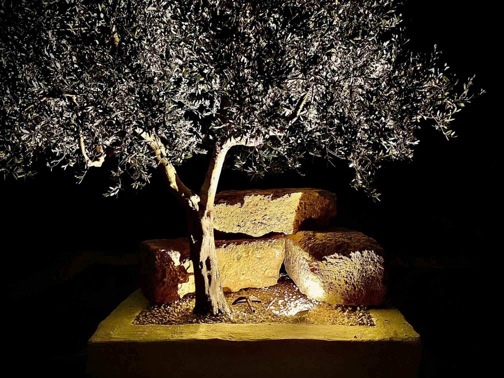 Property building in I Gelsomini