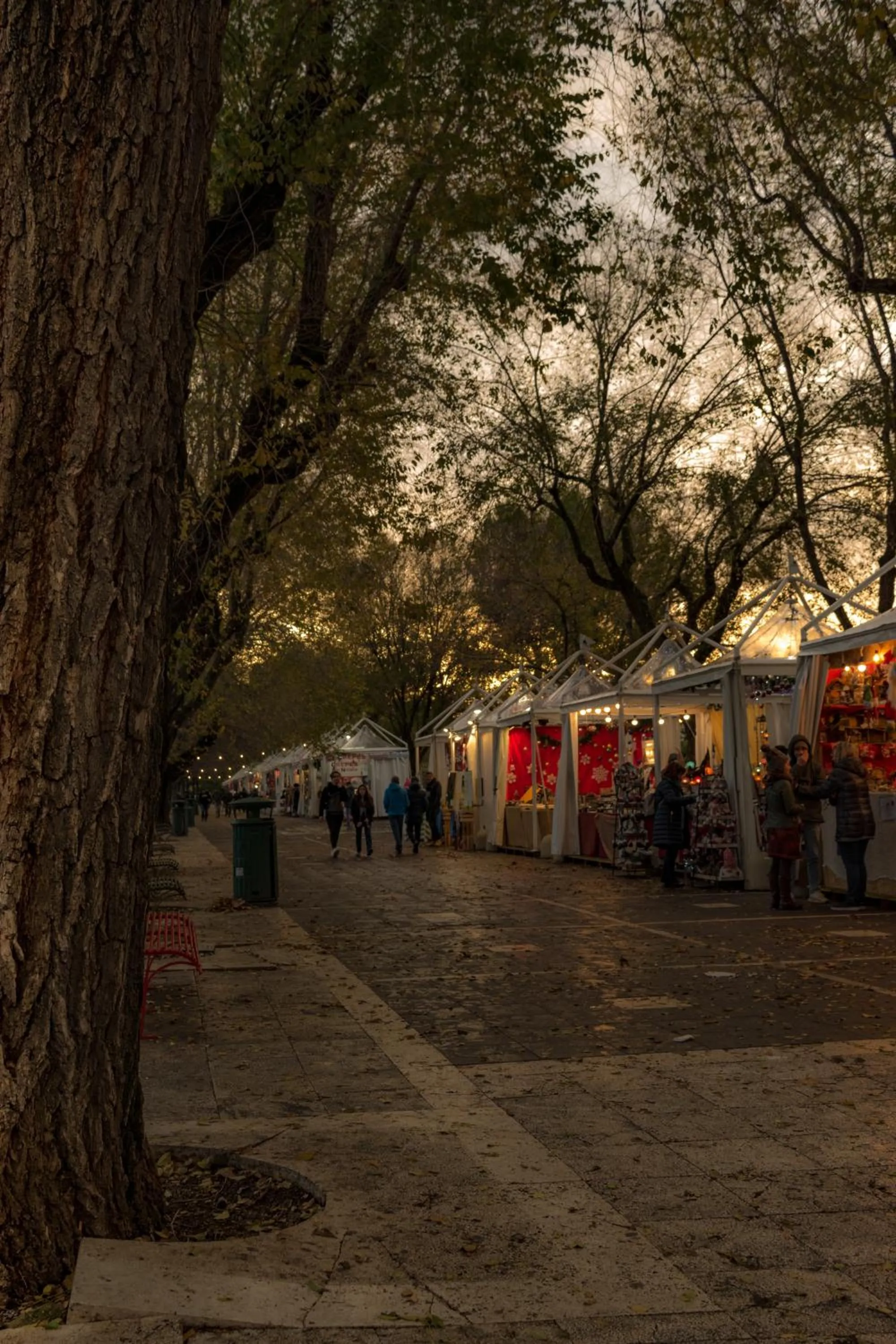 Nearby landmark in Antica Terrazza Frascati