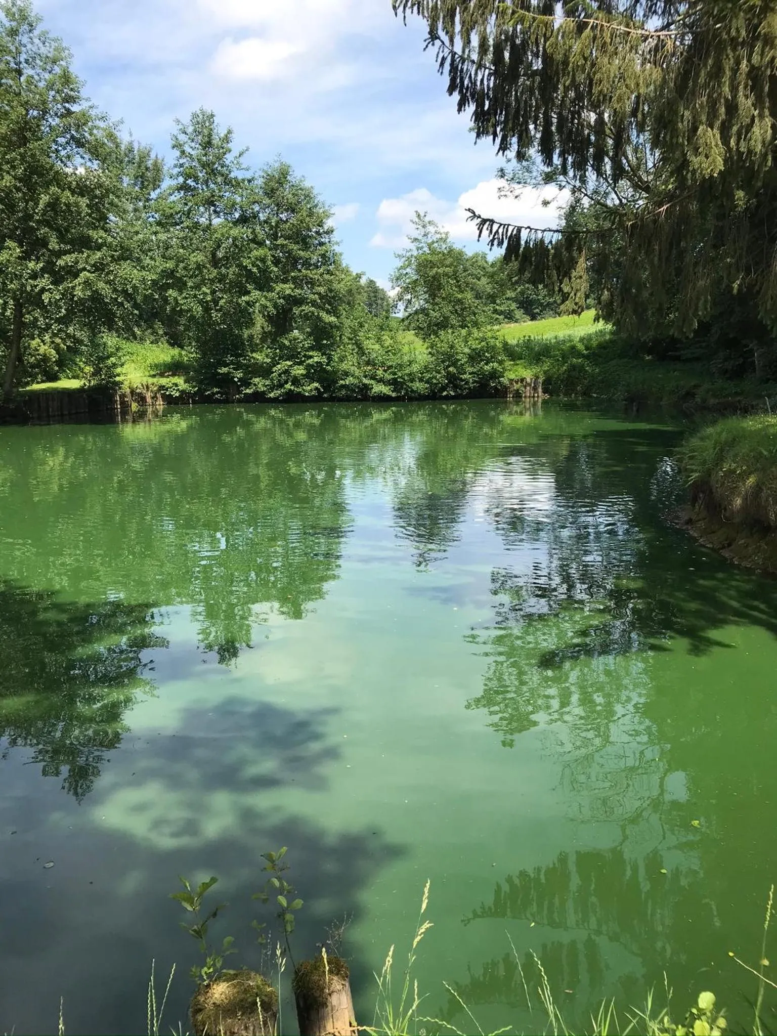 Hotel Restaurant Hesch