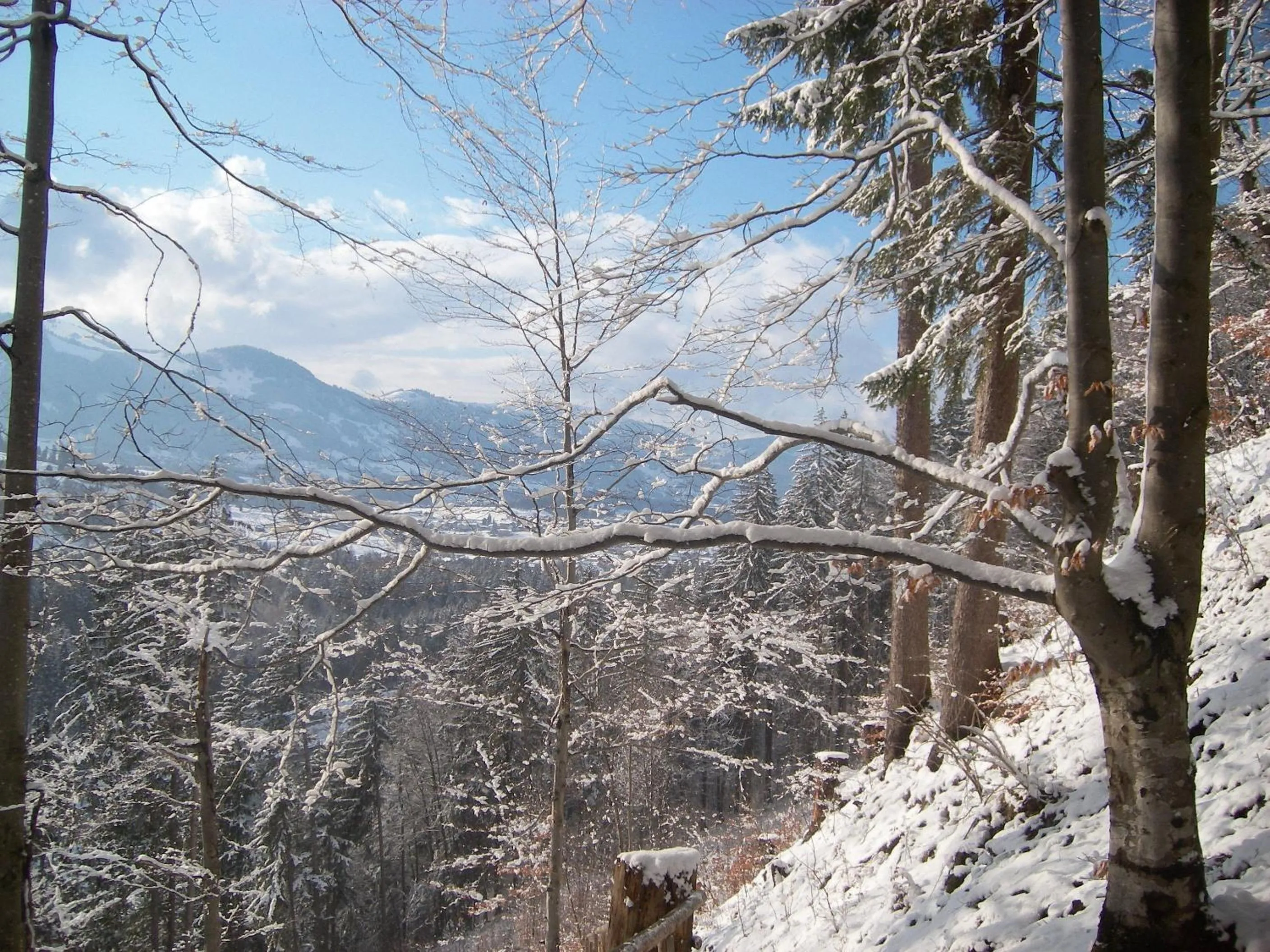 Mountain view in Hotel und Apartements im Forellenbach