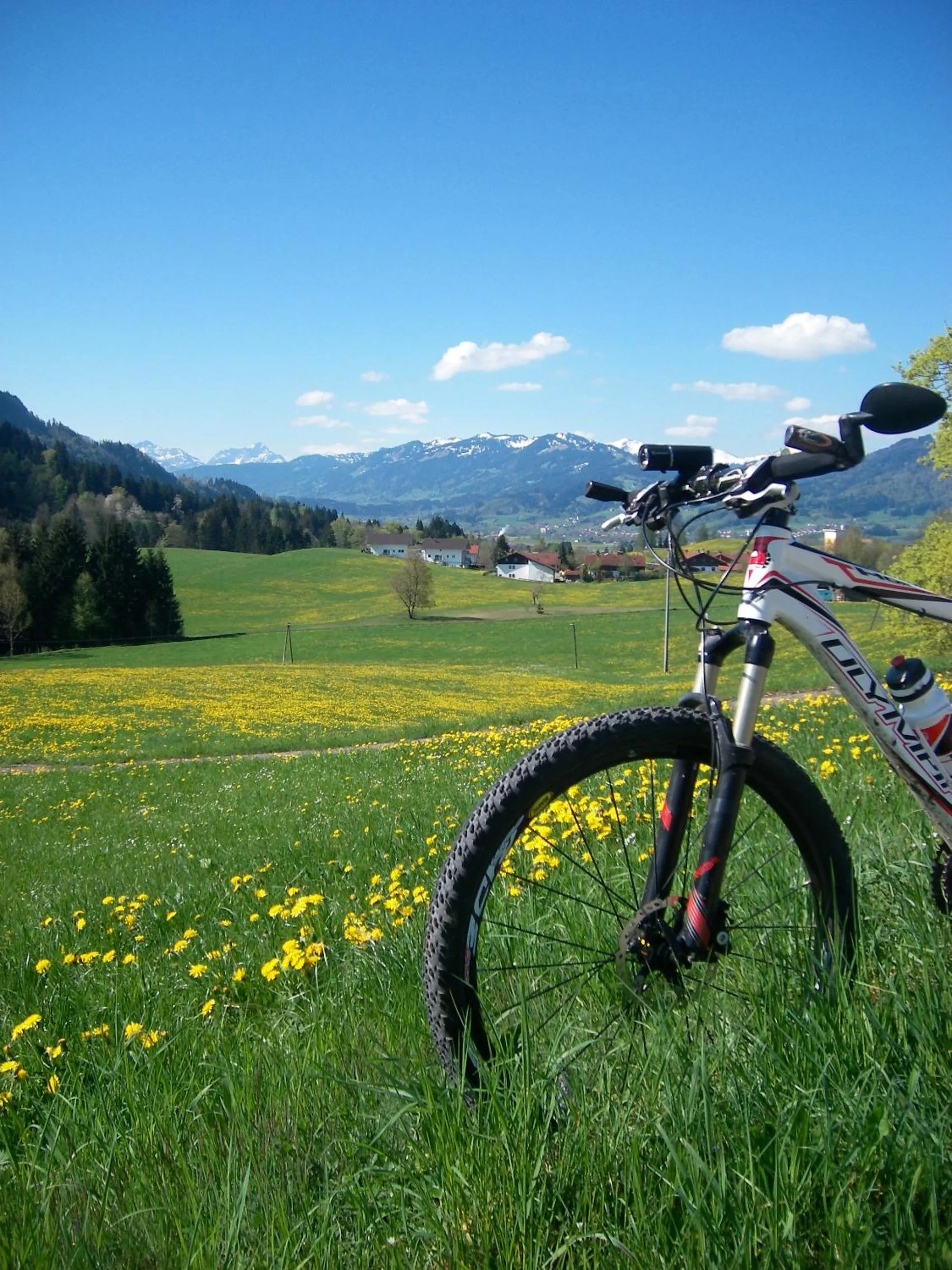 Natural landscape in Hotel und Apartements im Forellenbach