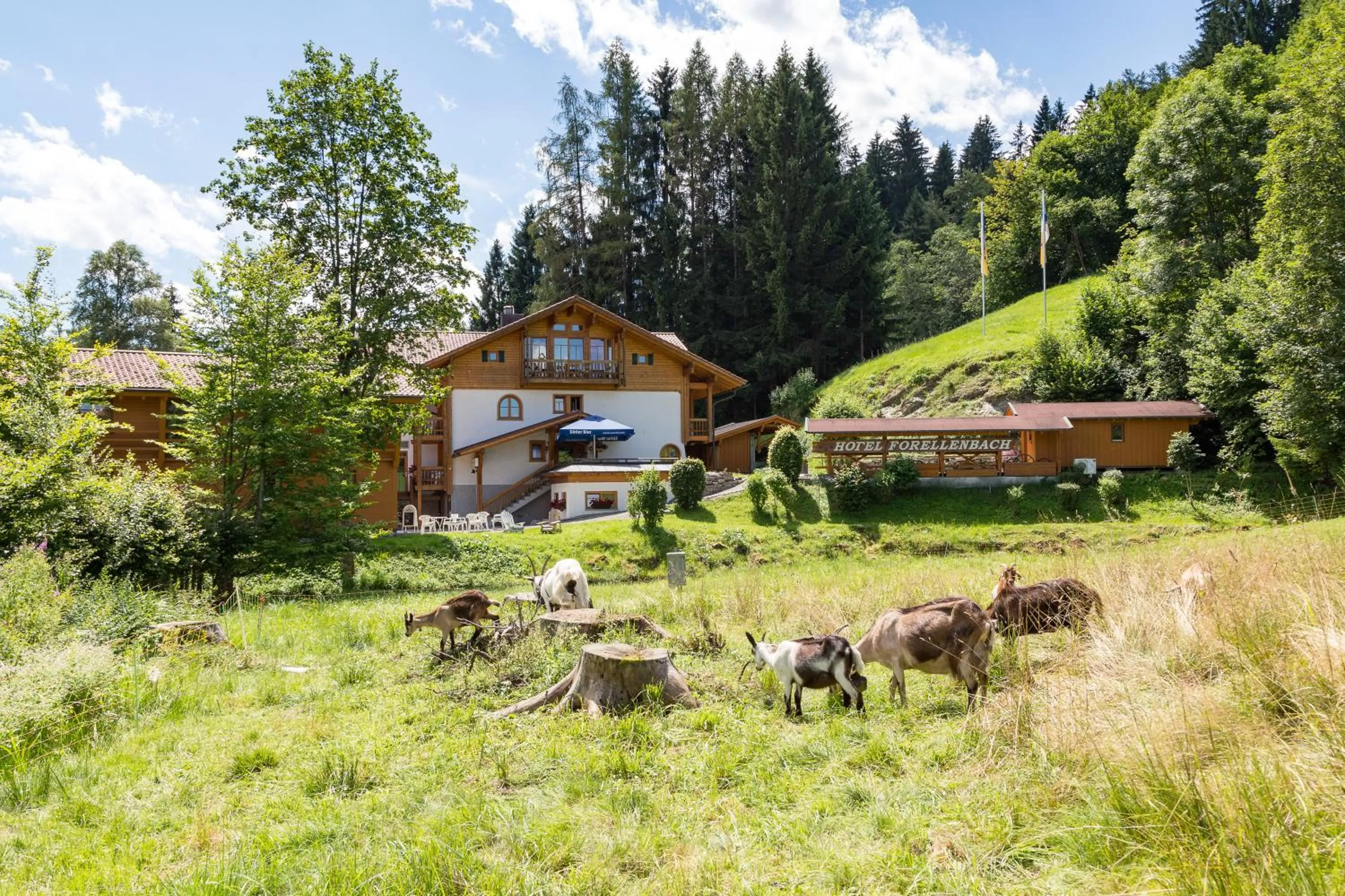 Property building in Hotel und Apartements im Forellenbach