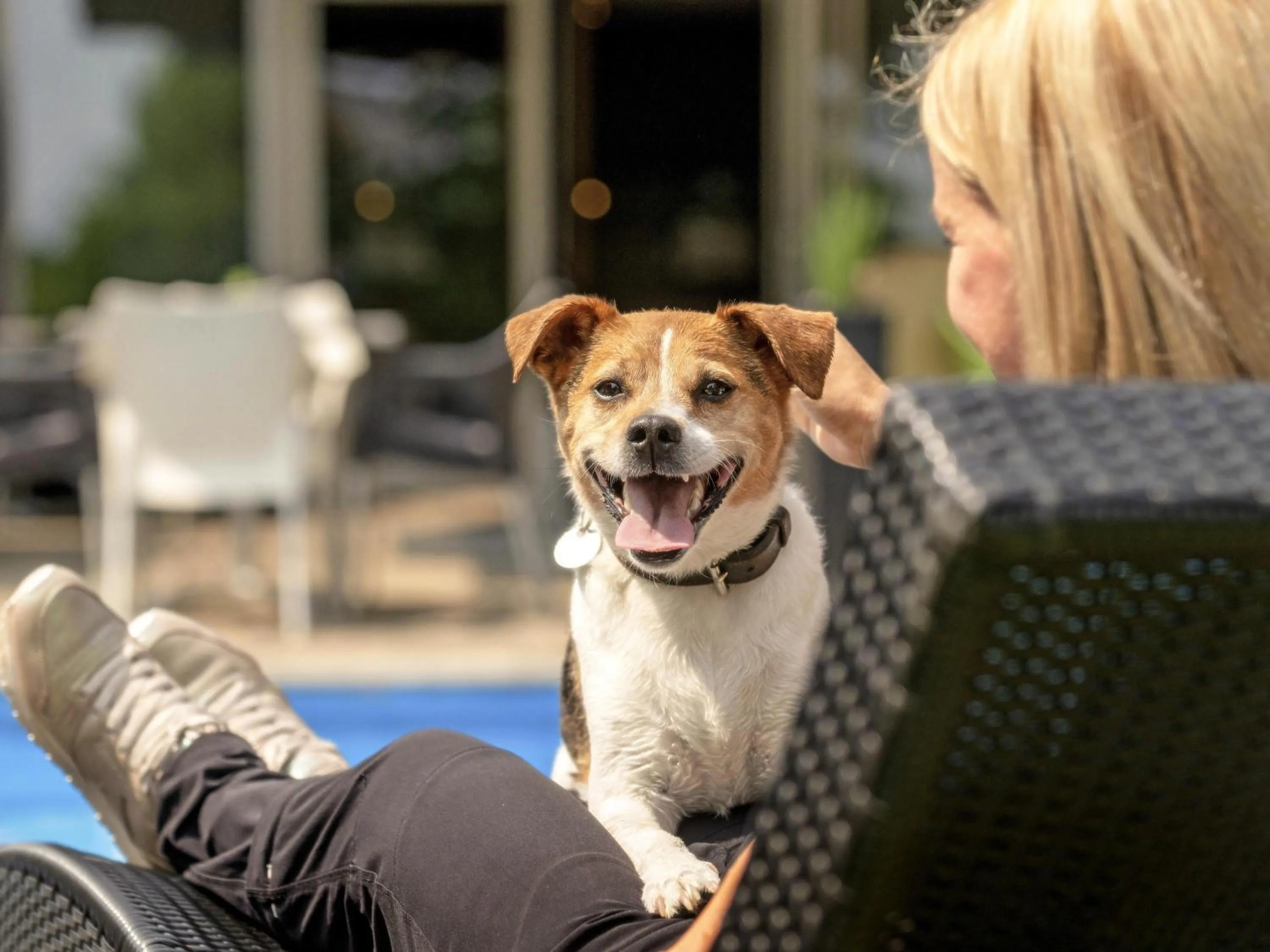 Spa and wellness centre/facilities in Mercure Aachen Europaplatz