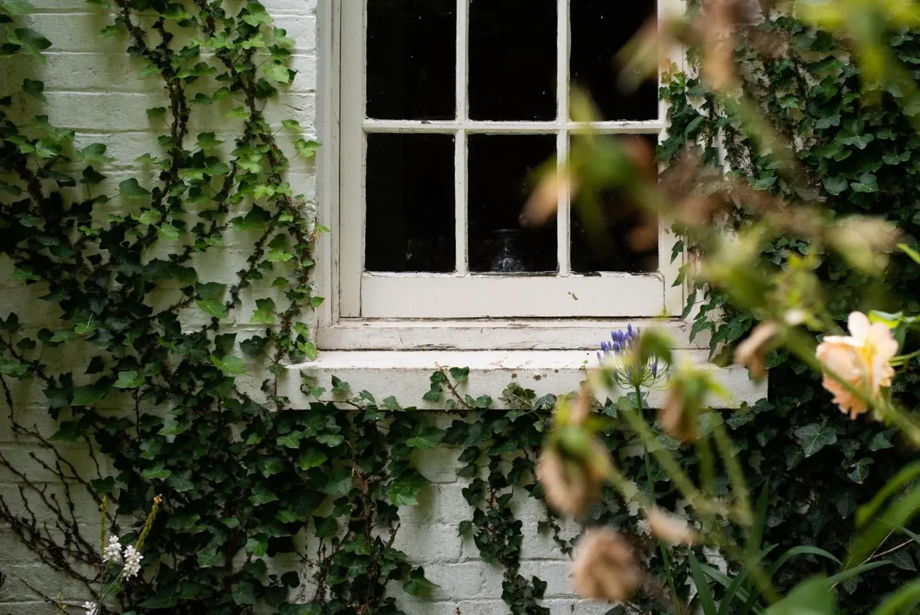 Twin Room with Garden View in Fitzpatricks Inn Twin Room with Garden View in Fitzpatricks Inn