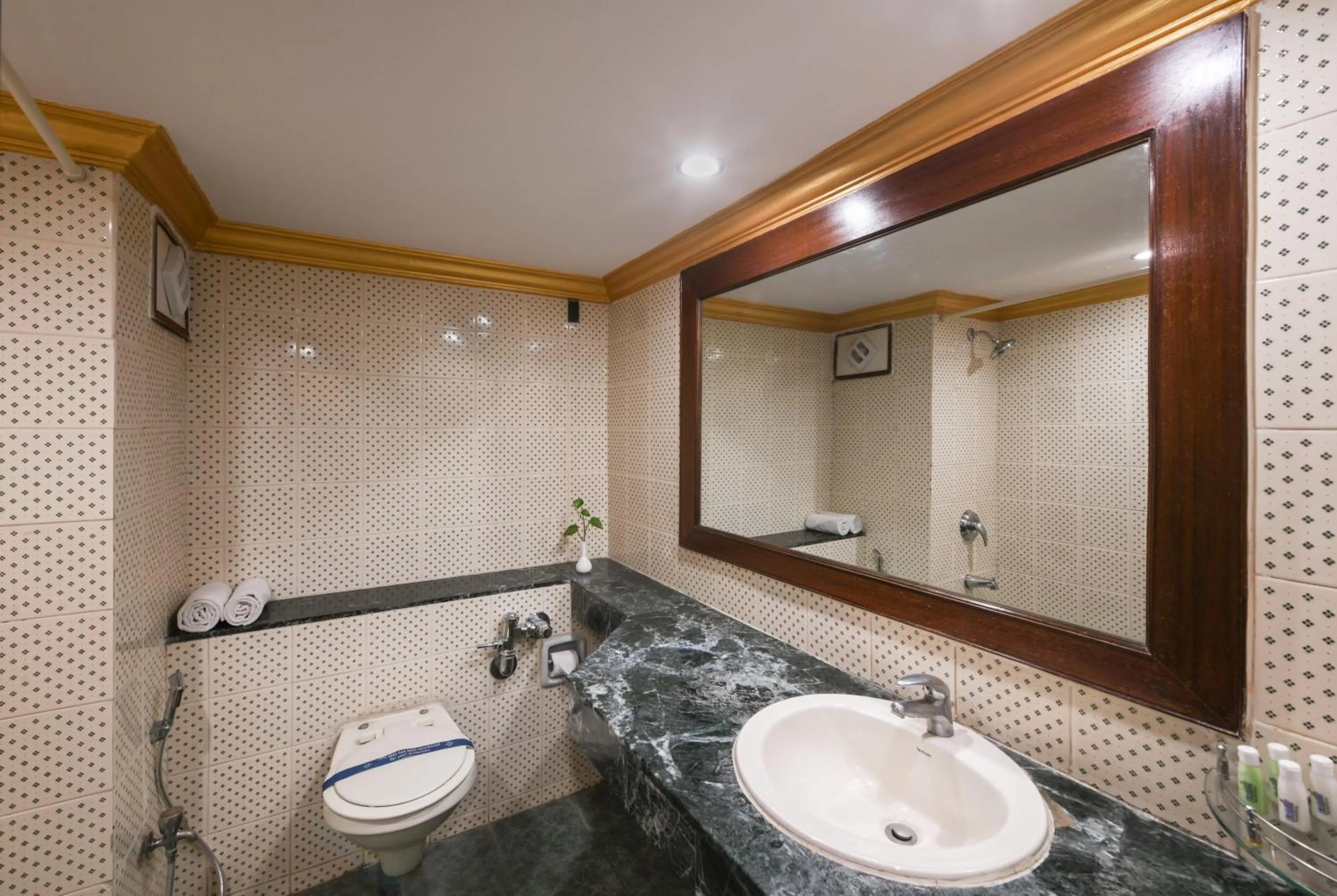 Bathroom in Nahar Heritage Hotel