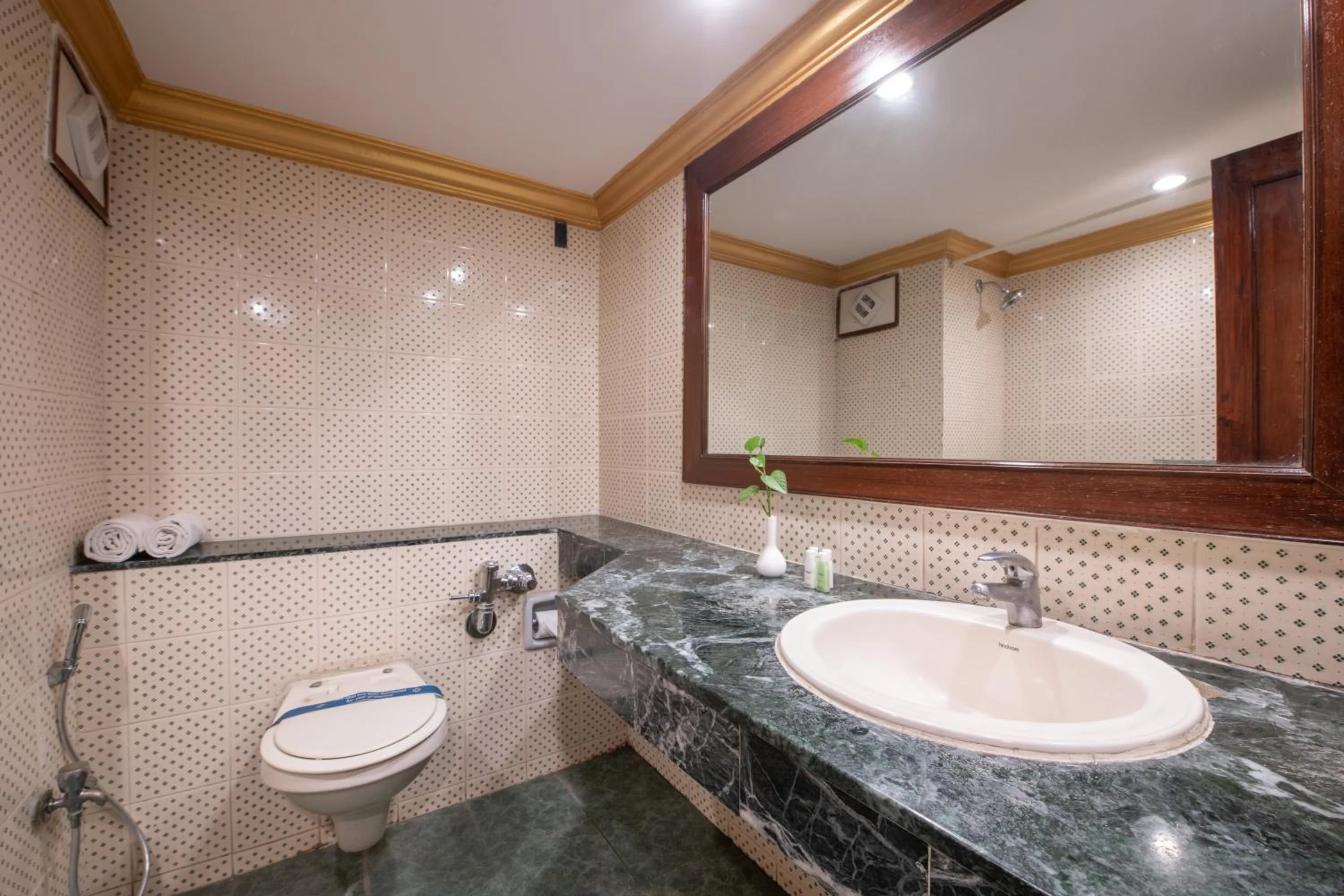 Toilet in Nahar Heritage Hotel