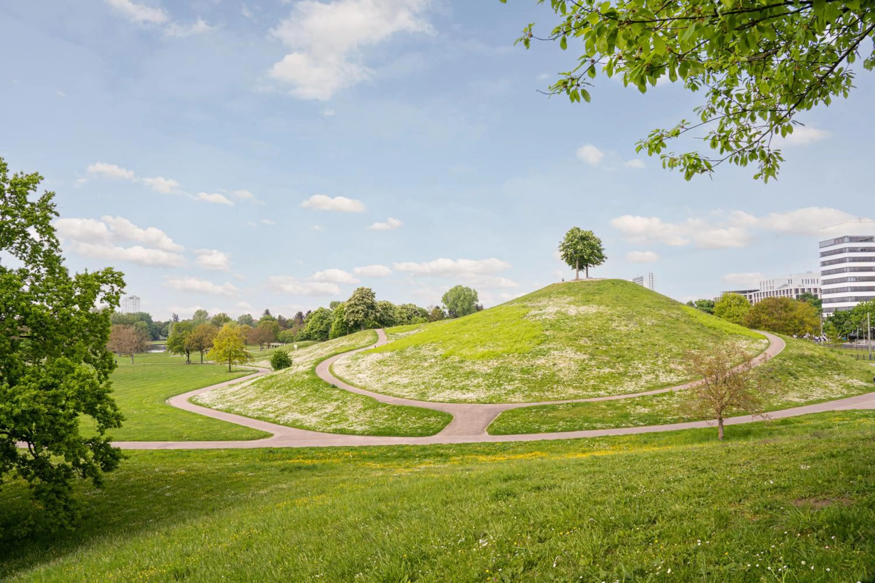 Natural landscape in Arthotel ANA Eden