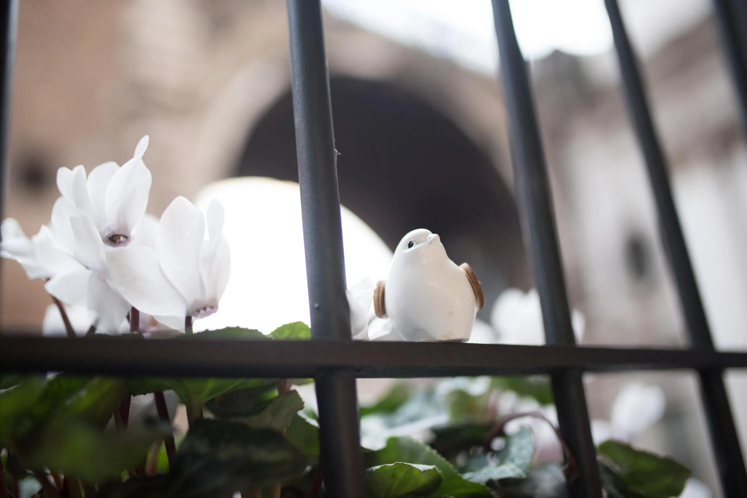 View (from property/room) in Sweet Arco Farnese