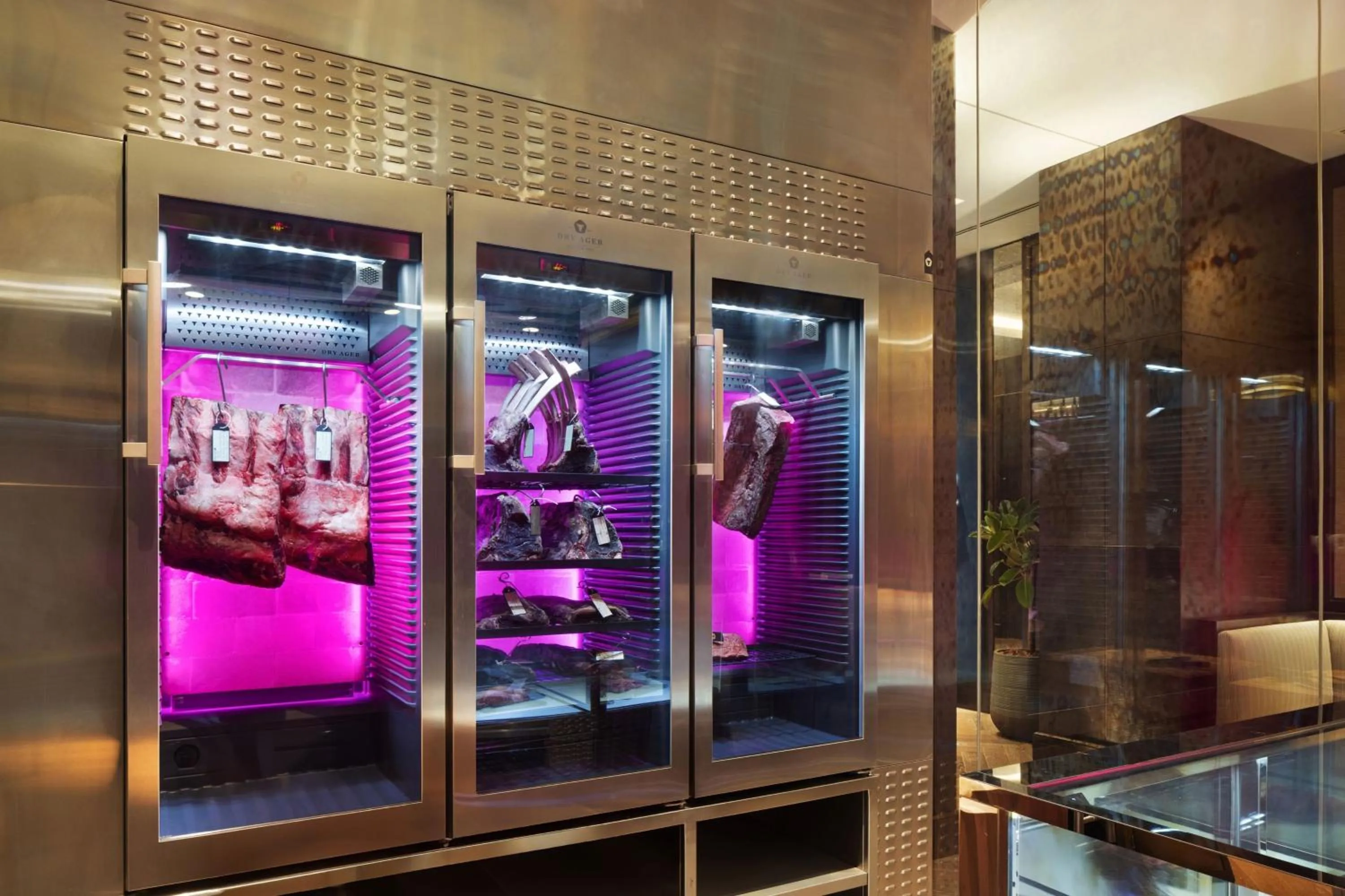 Restaurant/places to eat in JW Marriott Hotel Muscat