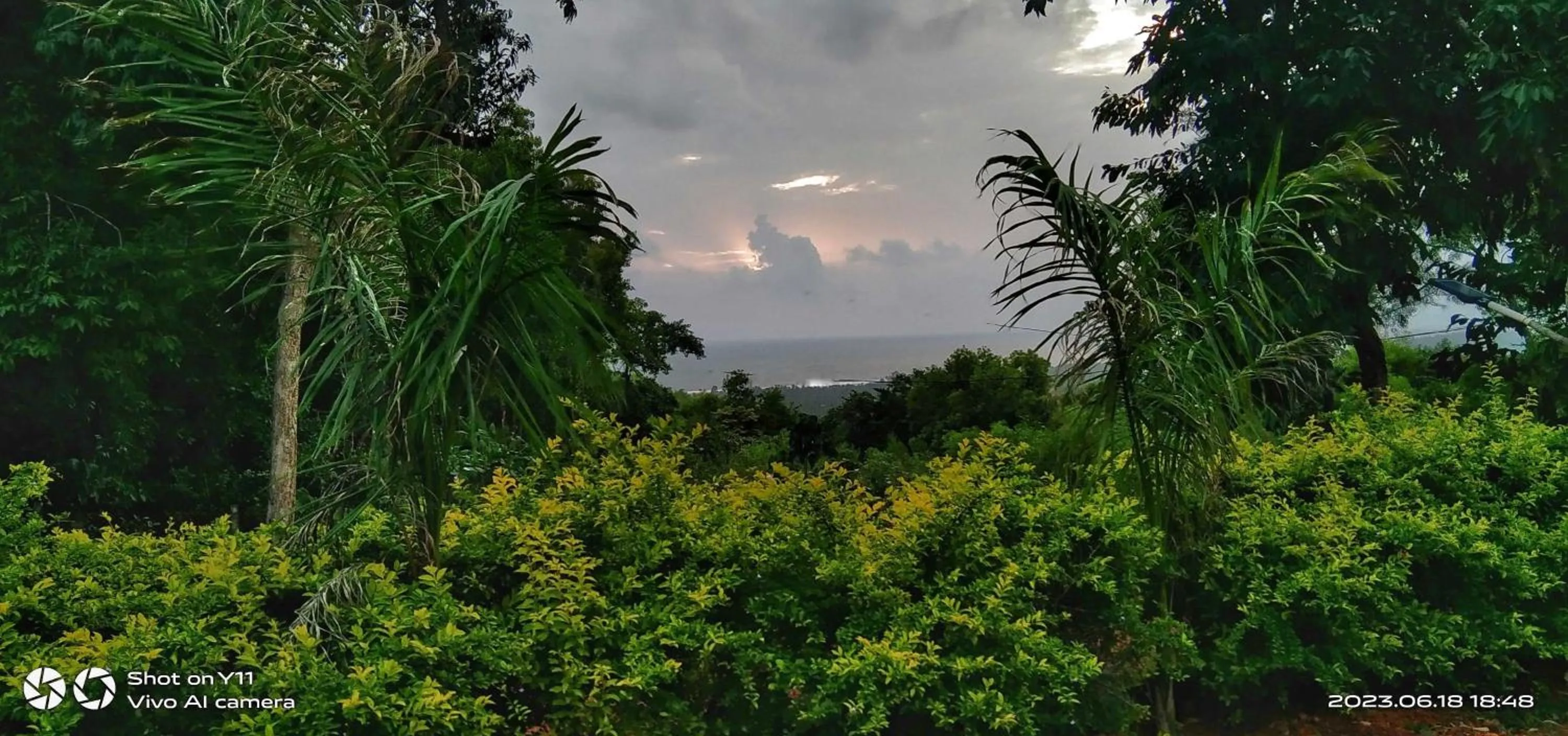 Garden in Viraz Valley