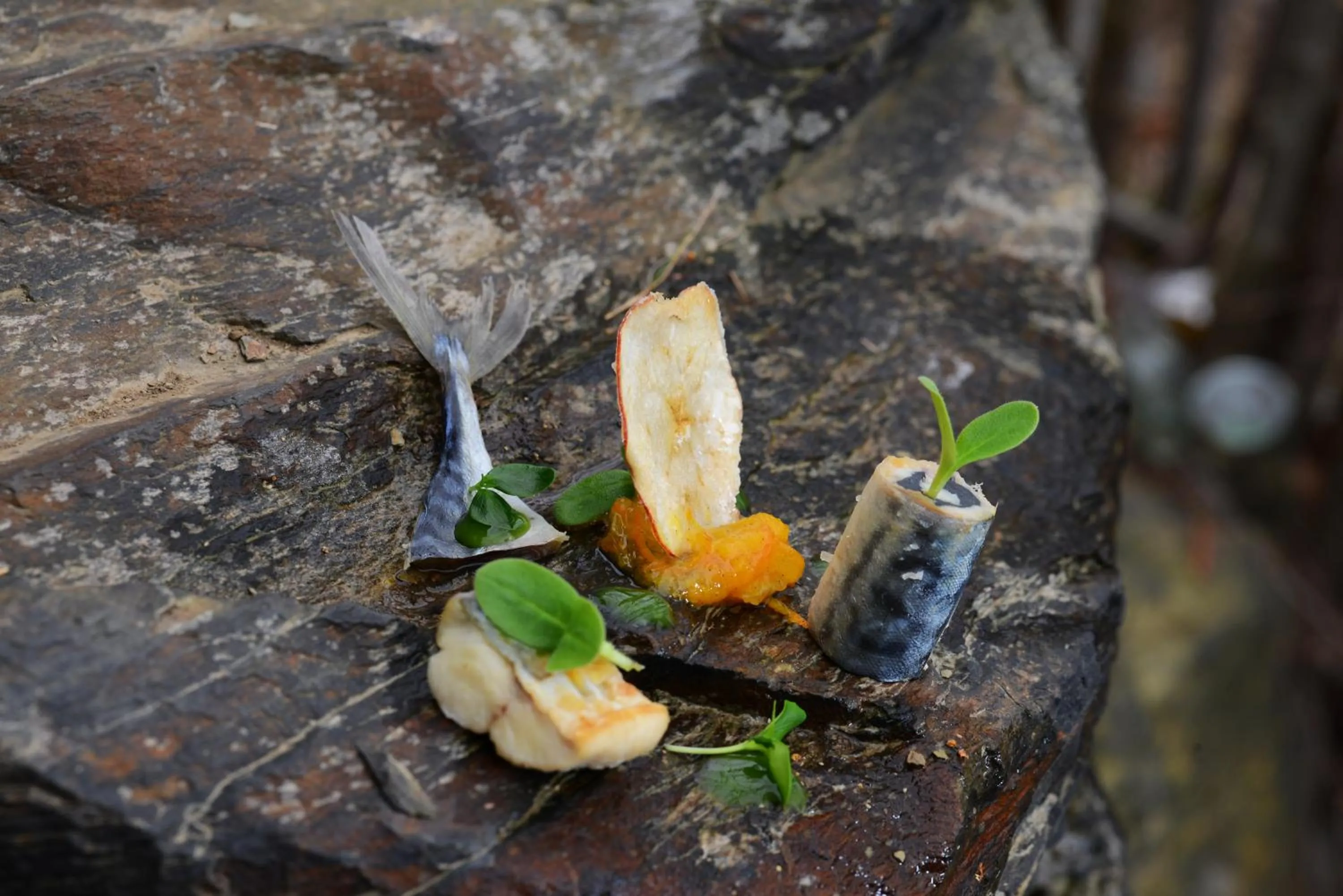Food close-up in Der Bayerische Hof
