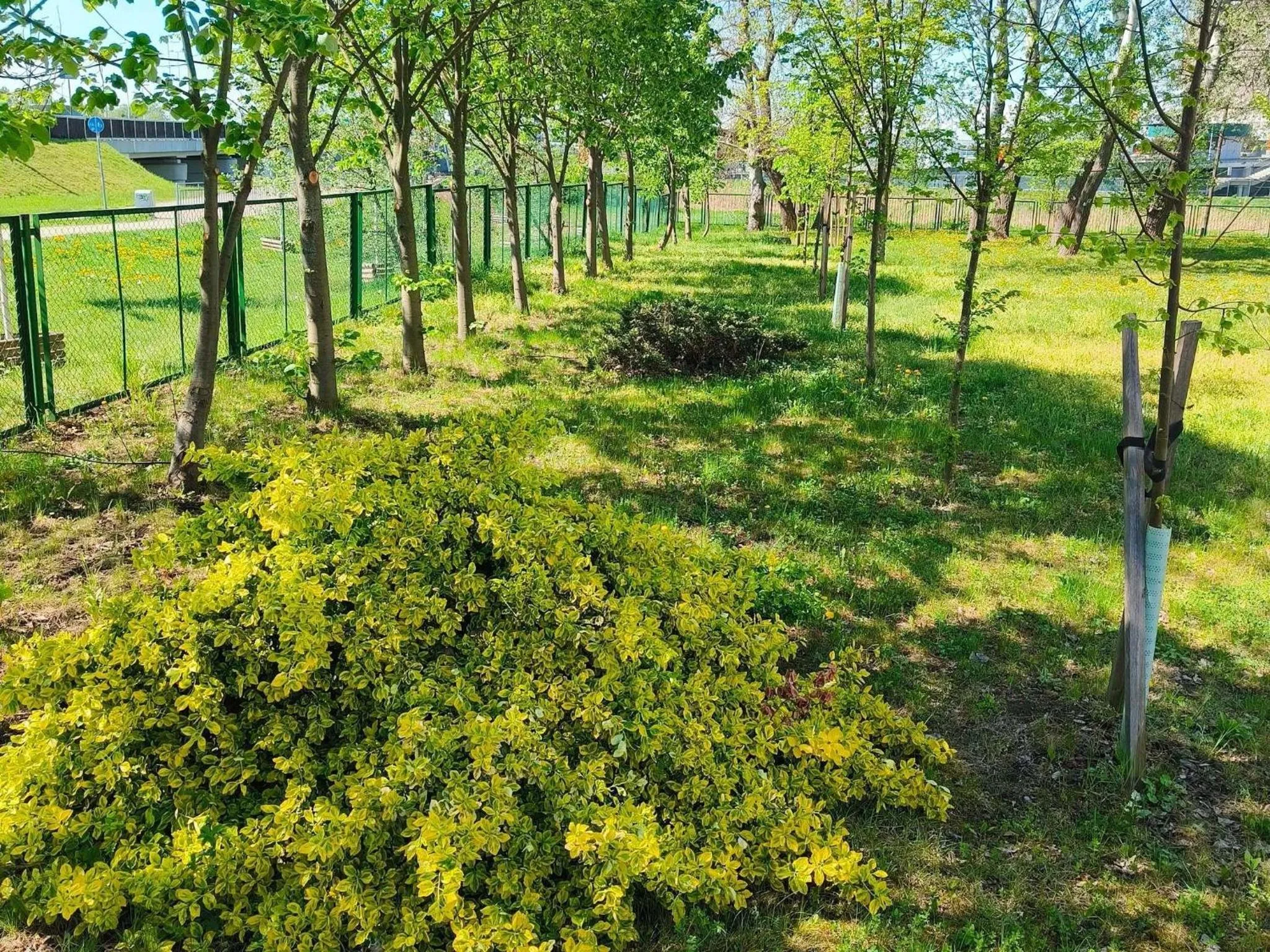 Other in ibis budget Wrocław Stadion