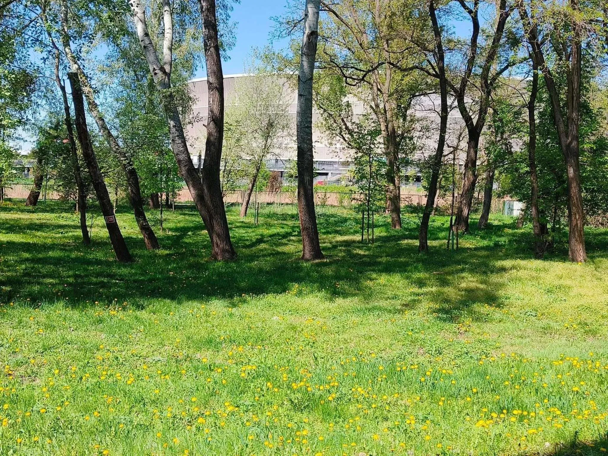 Other in ibis budget Wrocław Stadion