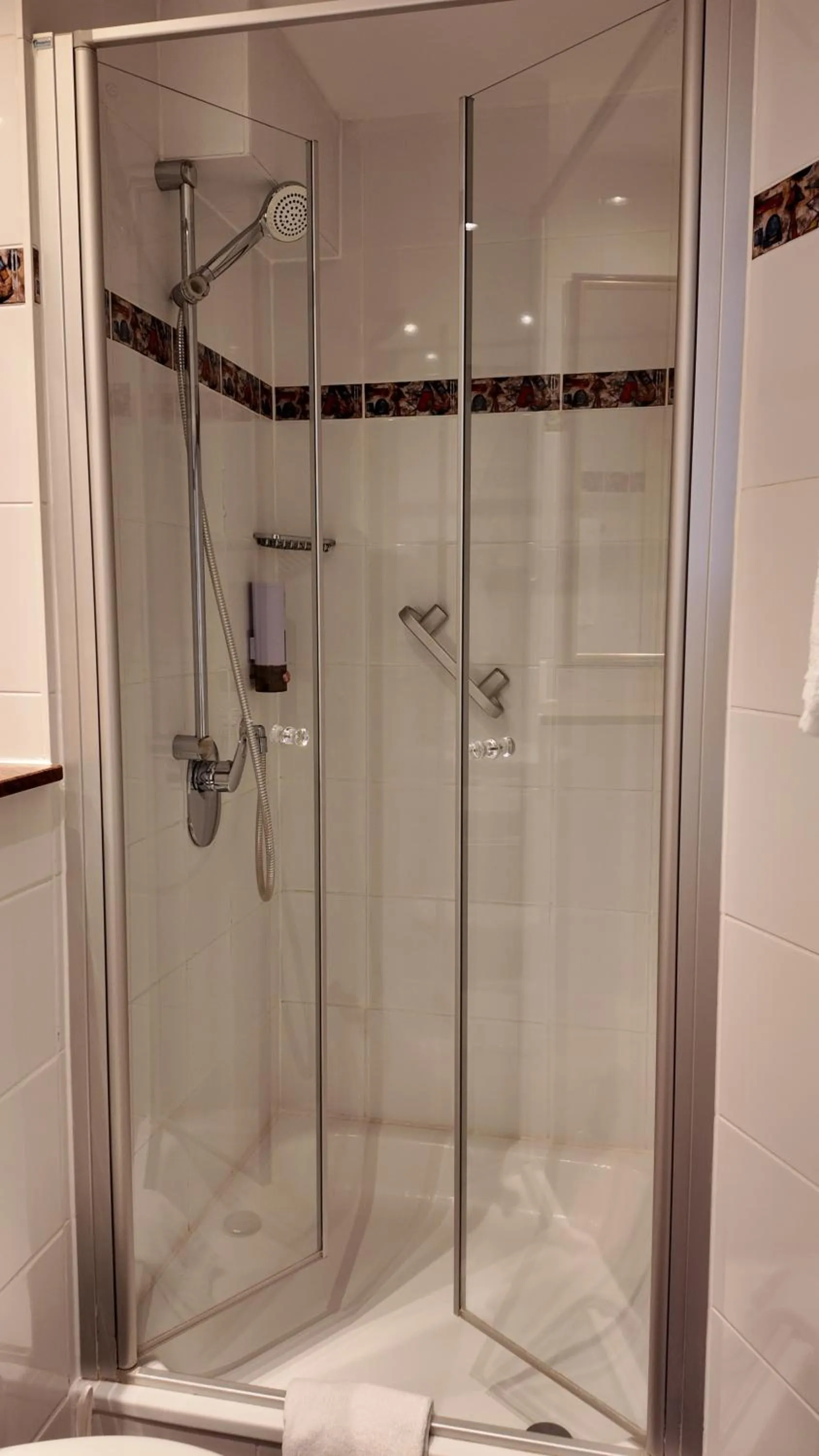 Shower in Hotel Aurbacher Hof GmbH