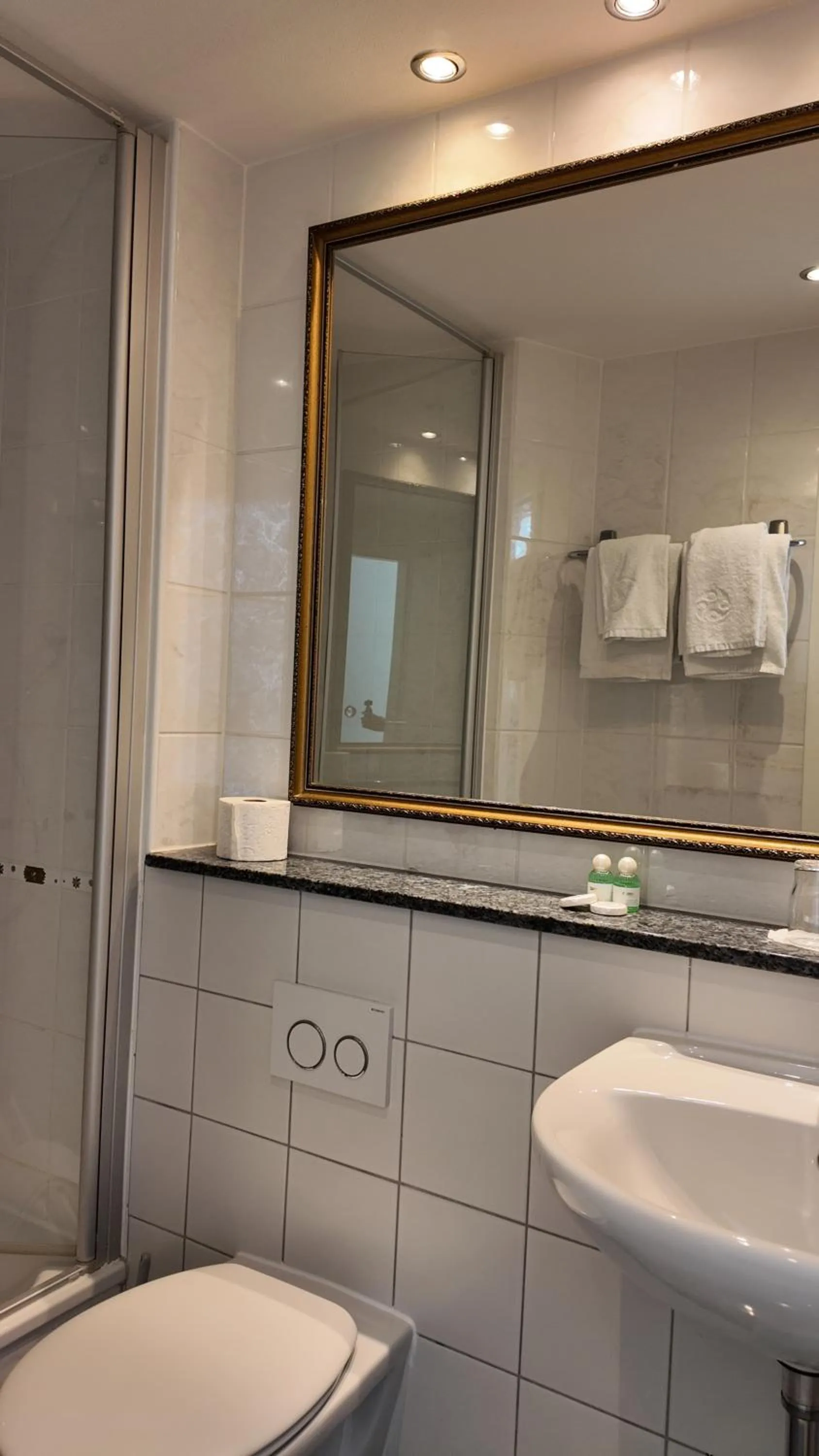 Toilet in Hotel Aurbacher Hof GmbH