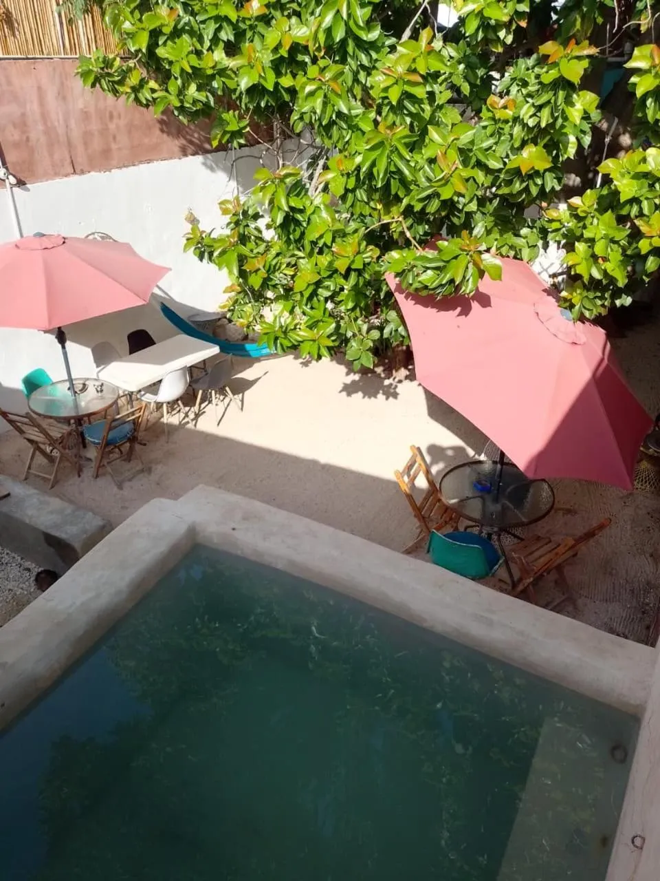 Swimming pool in La Casa del Kéej Hostel