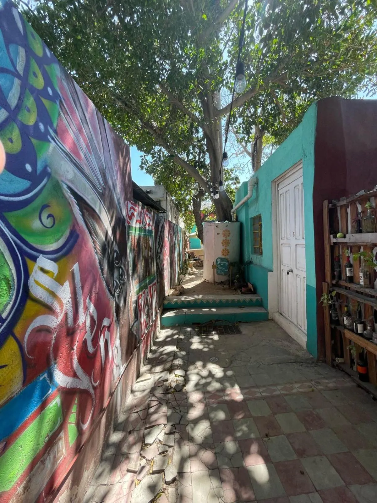 Patio in La Casa del Kéej Hostel