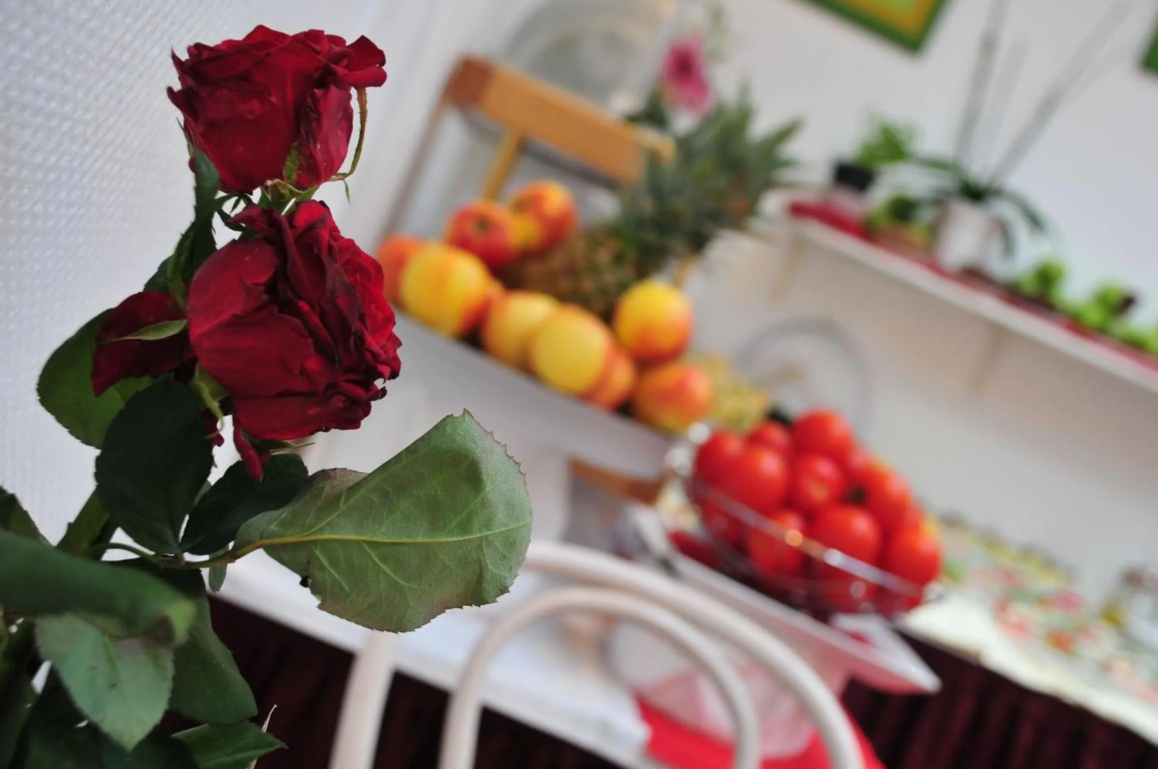 Decorative detail in Cerano City Hotel Köln am Dom