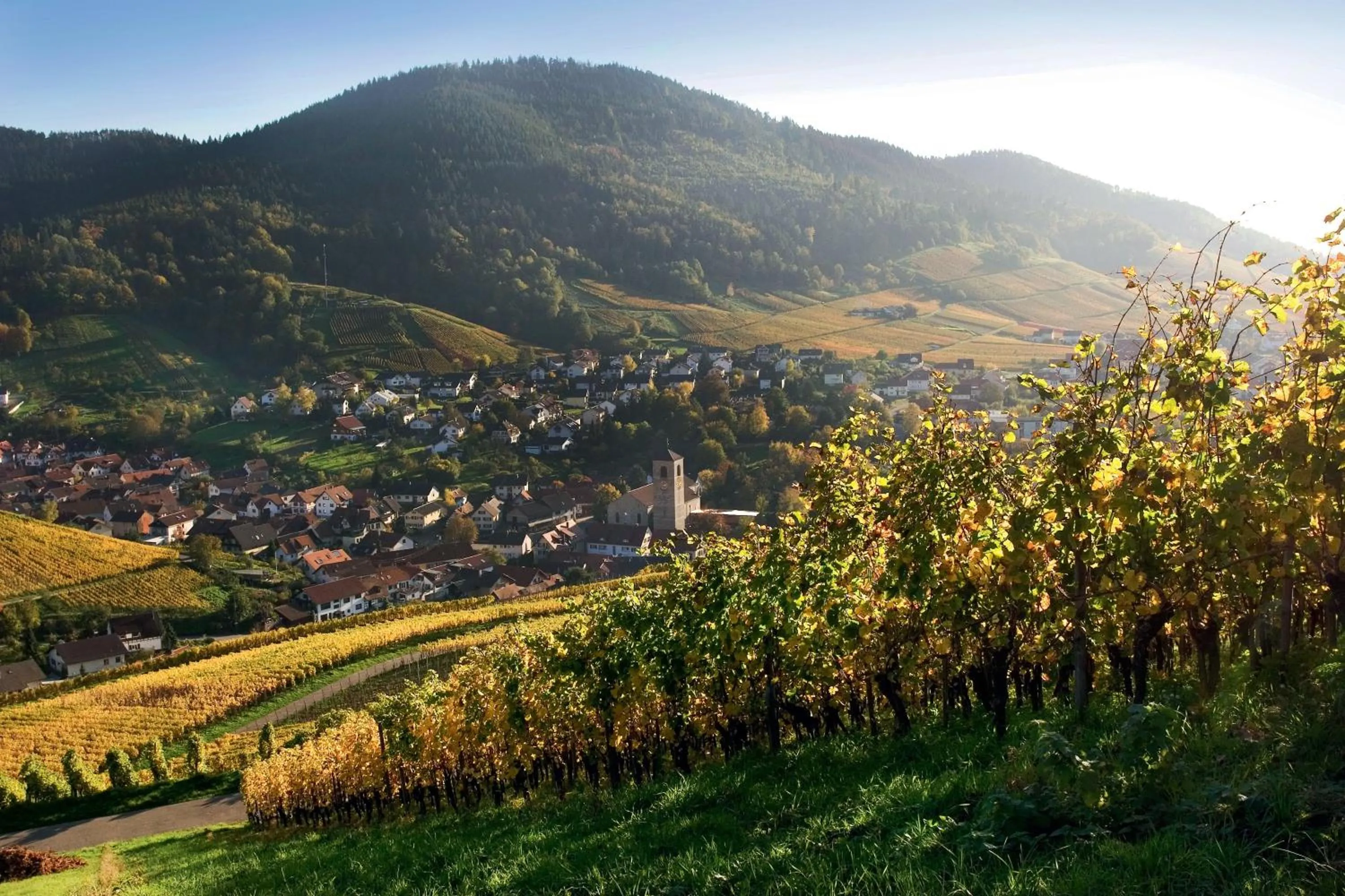 Nearby landmark in Brenners Park Hotel & Spa, Oetker Hotels