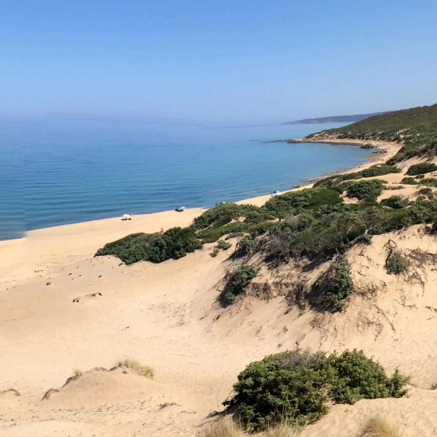 Spring in B&B al civico16