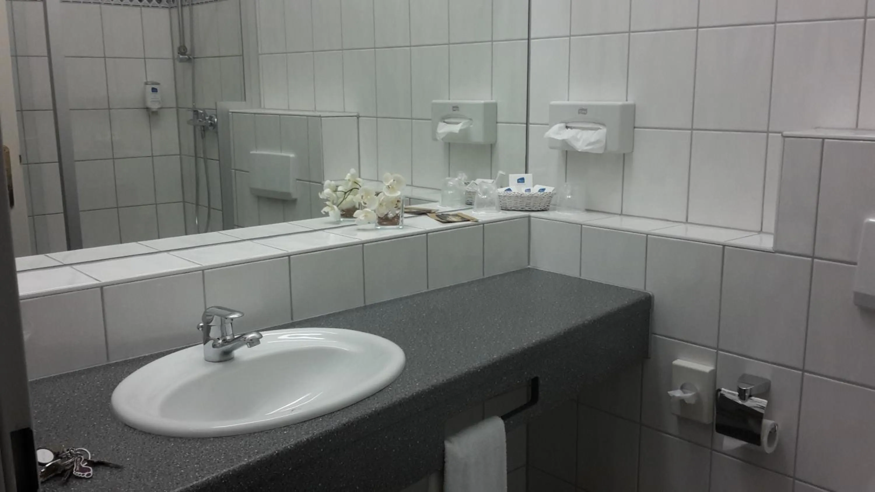 Bathroom in Hotel Dampfmühle